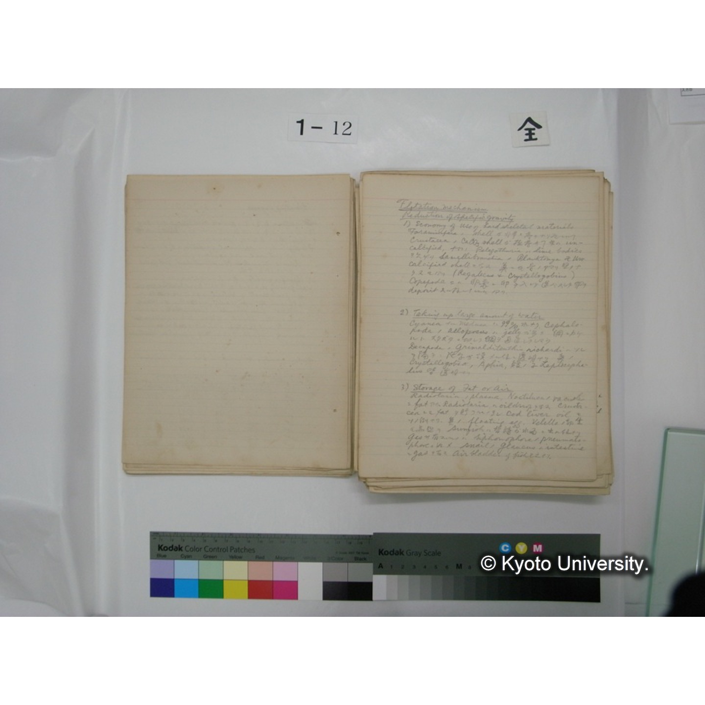 (水生生物) [直筆原稿] / (川村多實二) (22)