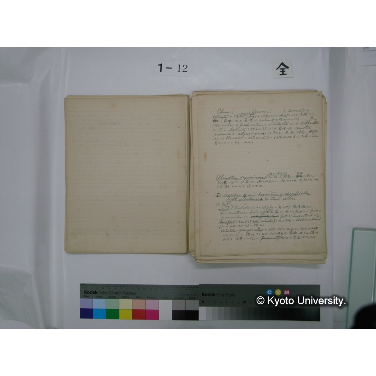 (水生生物) [直筆原稿] / (川村多實二) (24)