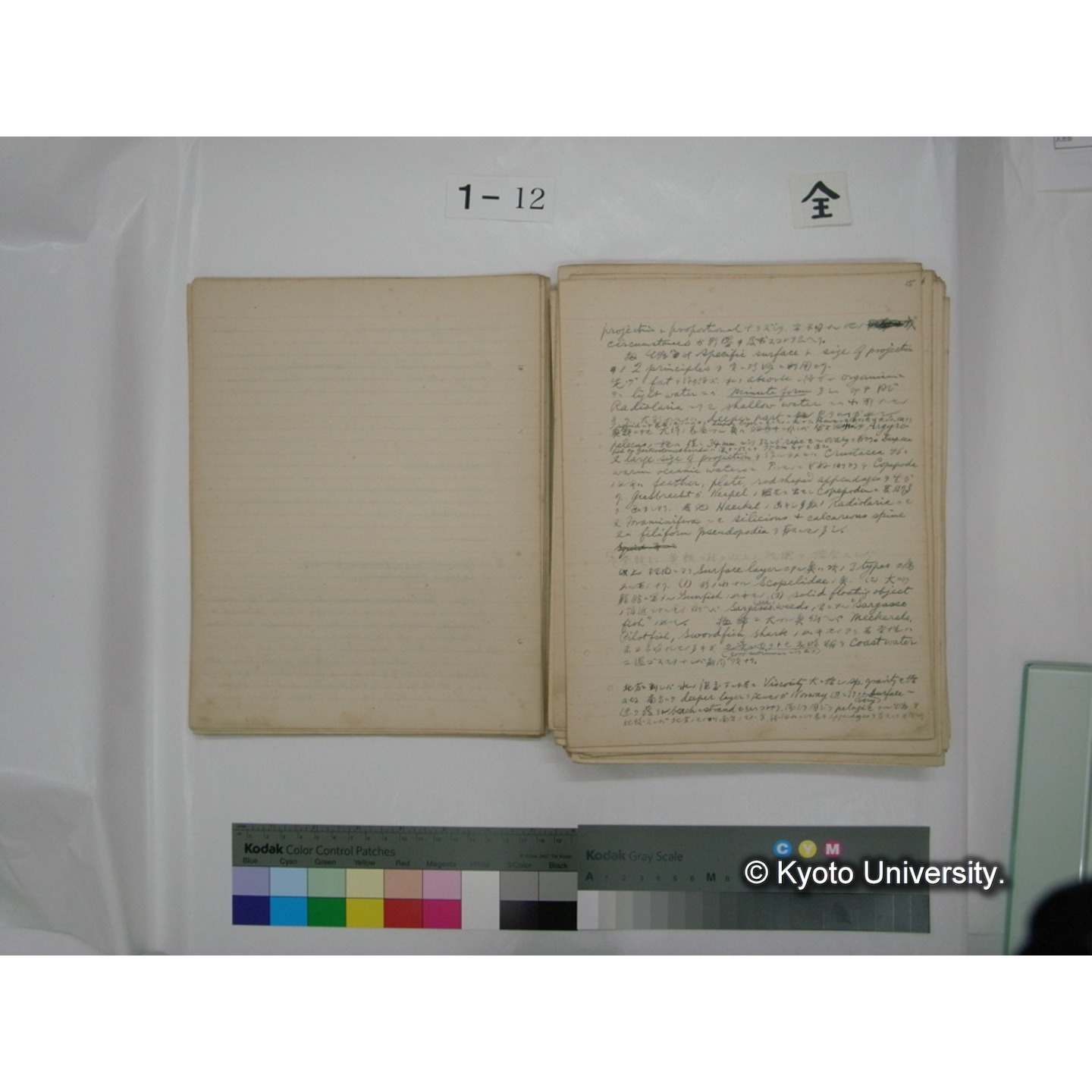 (水生生物) [直筆原稿] / (川村多實二) (26)