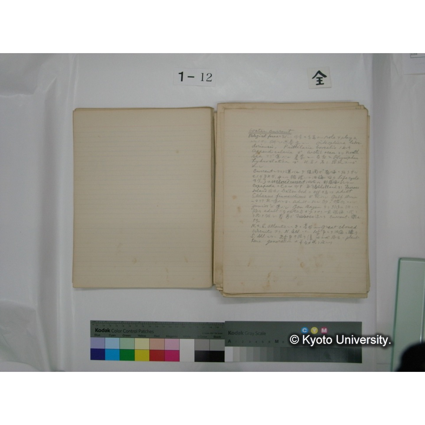 (水生生物) [直筆原稿] / (川村多實二) (29)