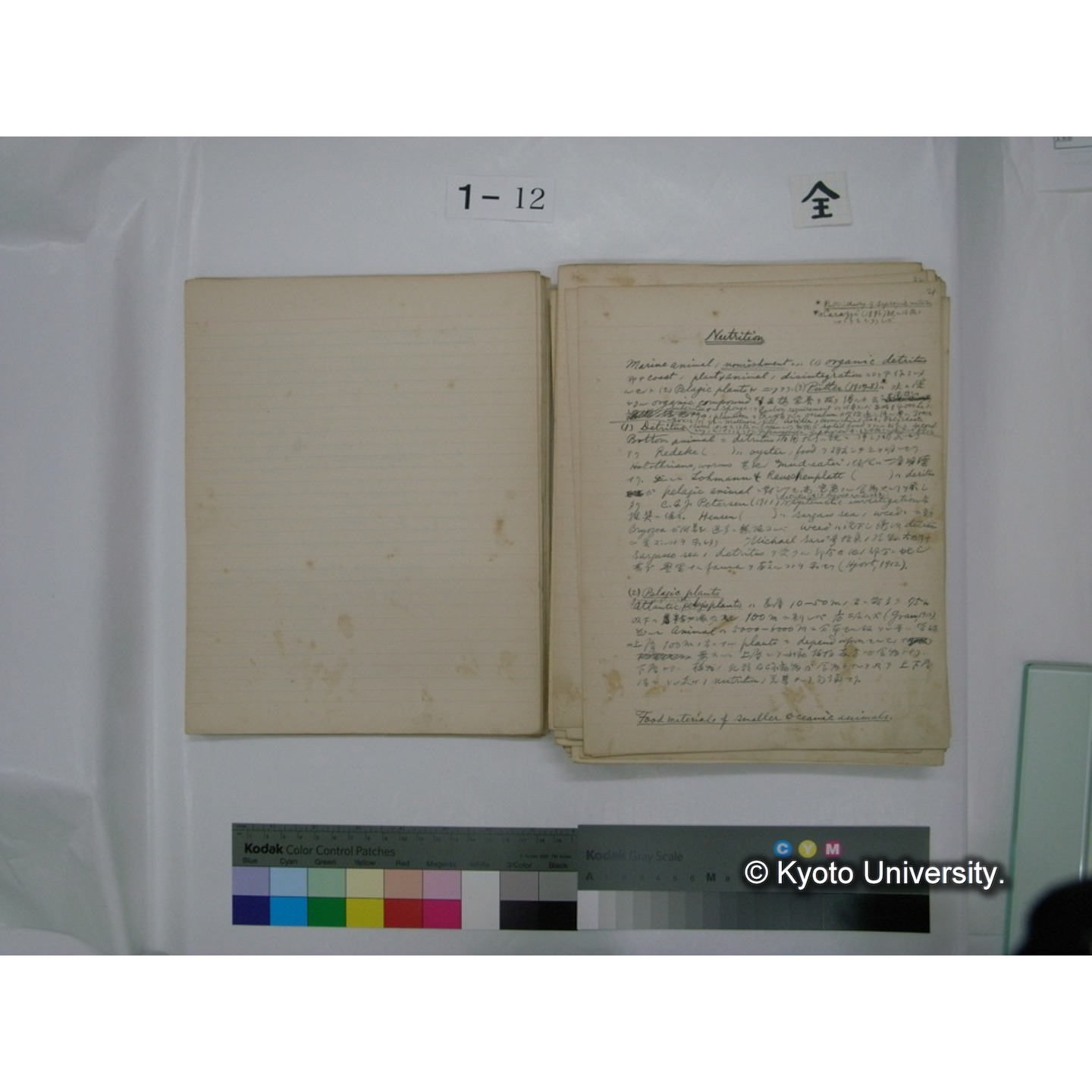 (水生生物) [直筆原稿] / (川村多實二) (30)