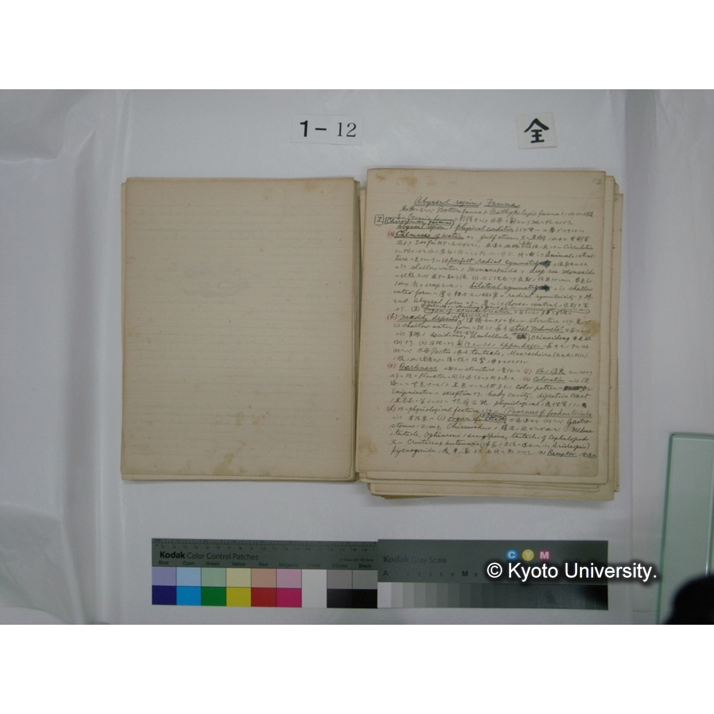 (水生生物) [直筆原稿] / (川村多實二) (32)