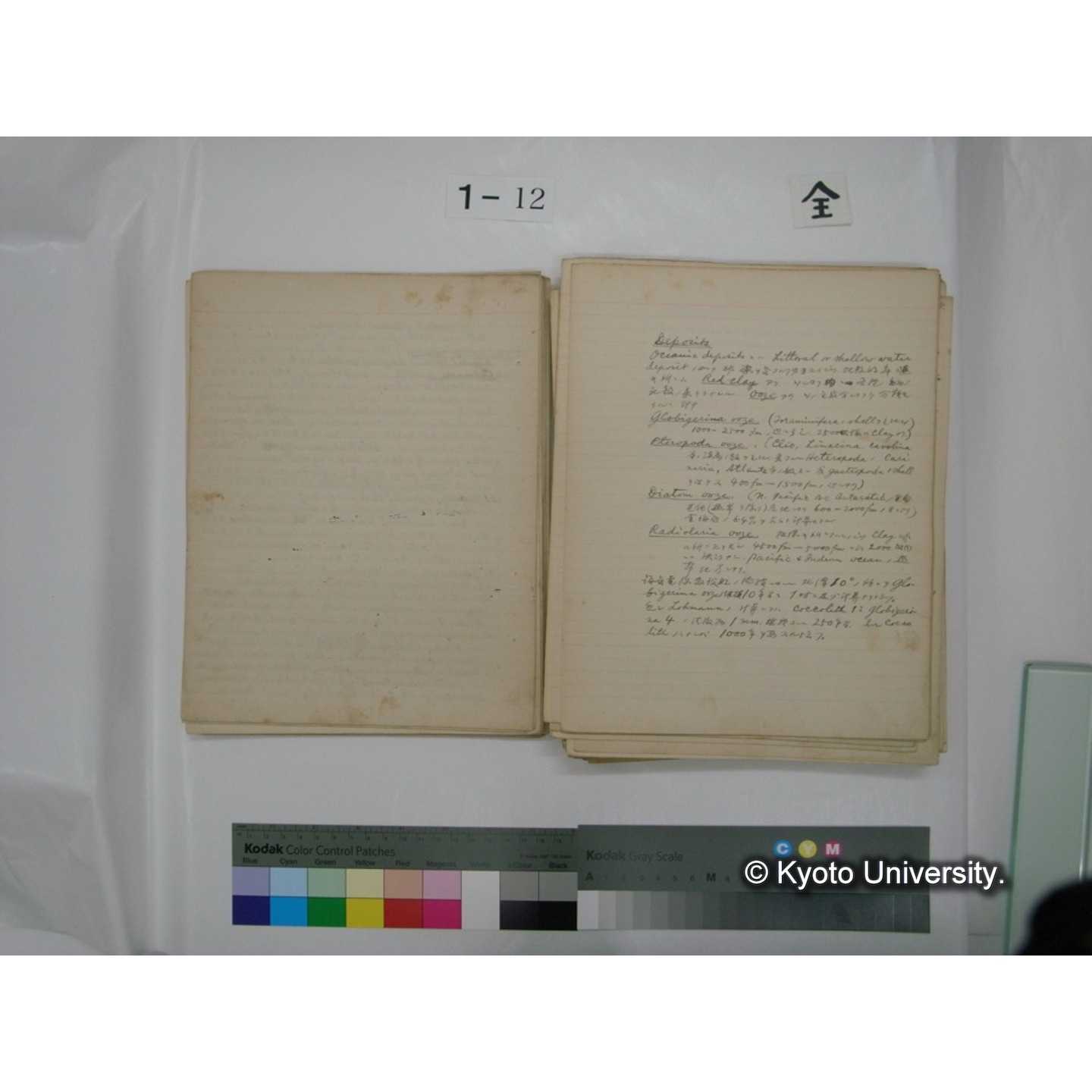 (水生生物) [直筆原稿] / (川村多實二) (33)