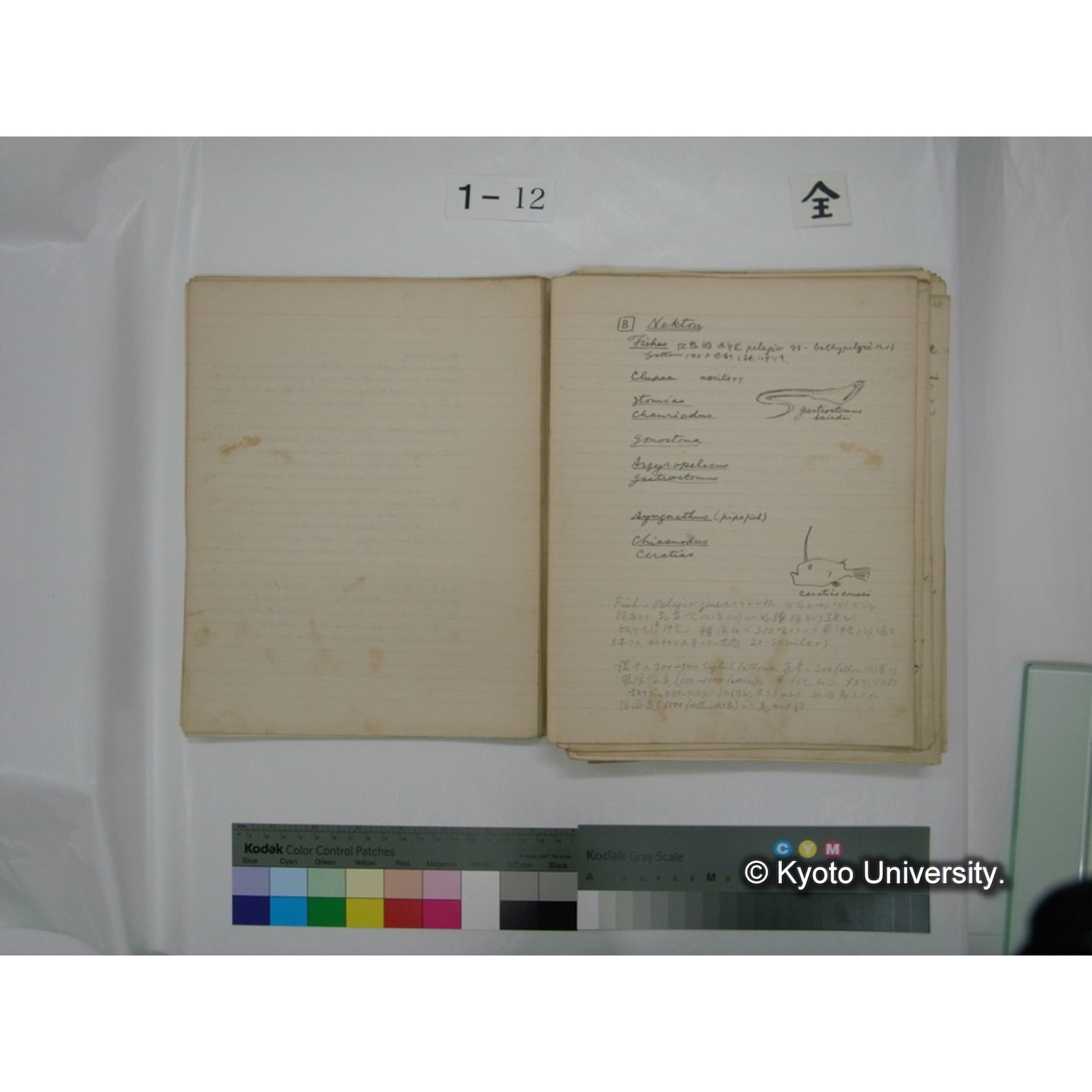 (水生生物) [直筆原稿] / (川村多實二) (34)