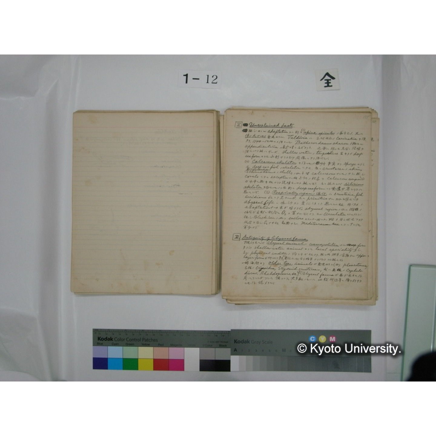 (水生生物) [直筆原稿] / (川村多實二) (35)