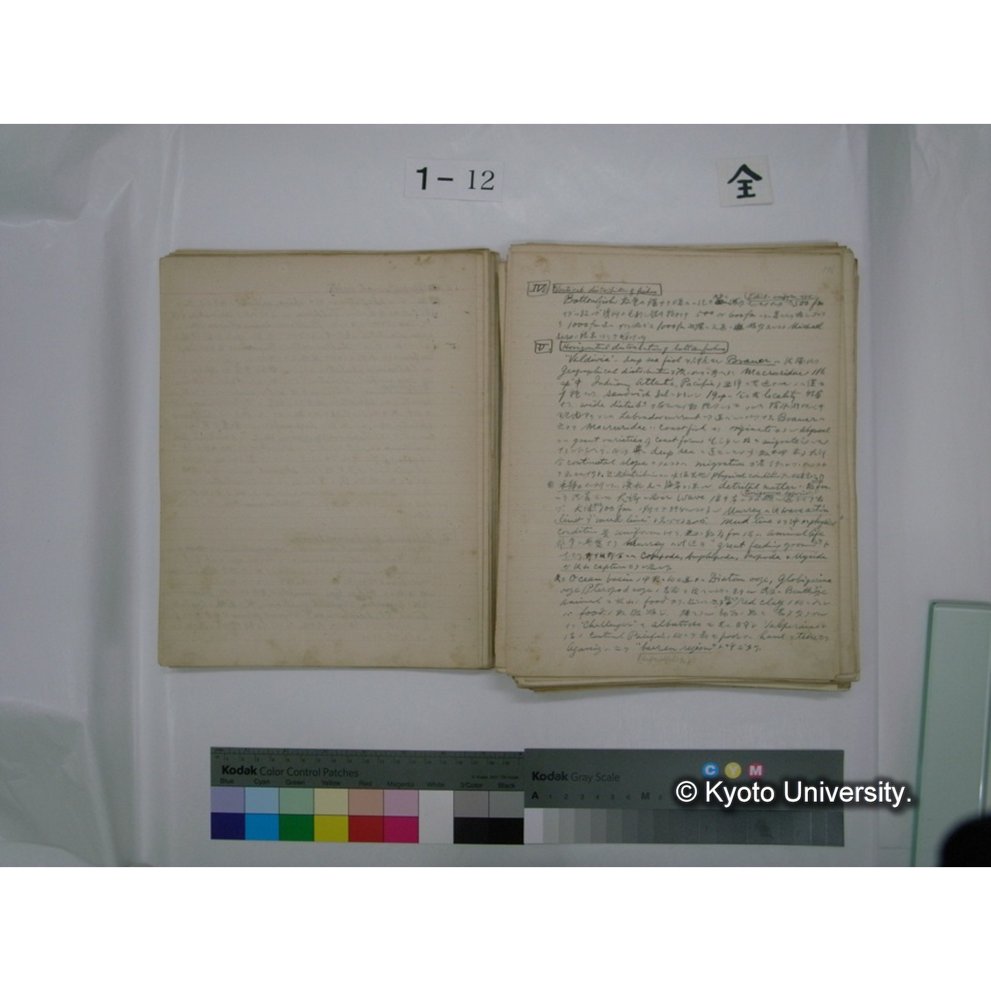 (水生生物) [直筆原稿] / (川村多實二) (36)