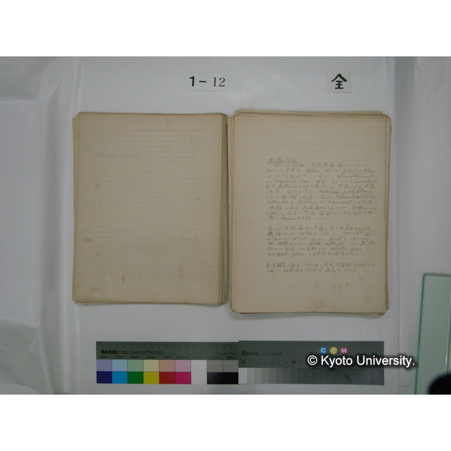 (水生生物) [直筆原稿] / (川村多實二) (41)