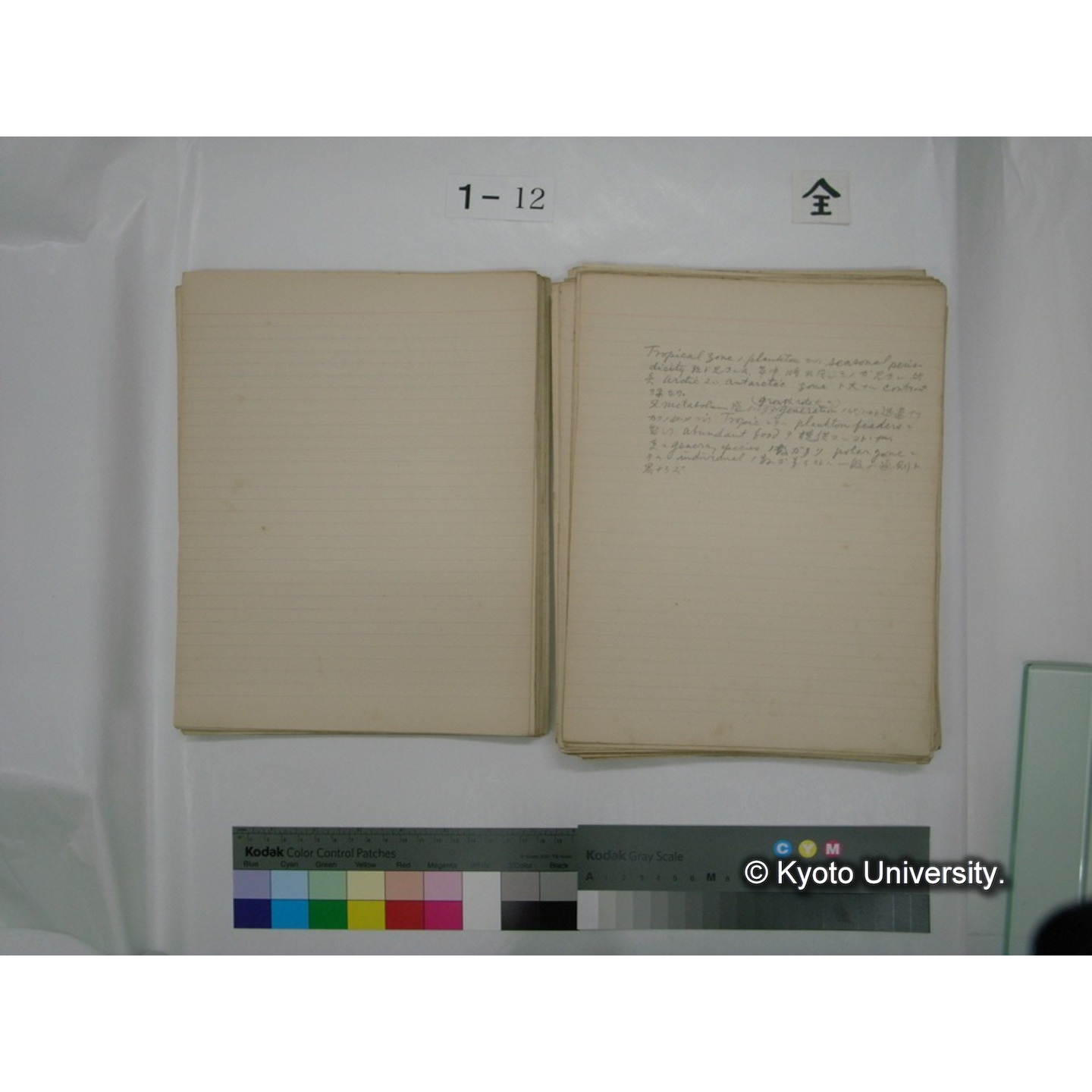 (水生生物) [直筆原稿] / (川村多實二) (43)