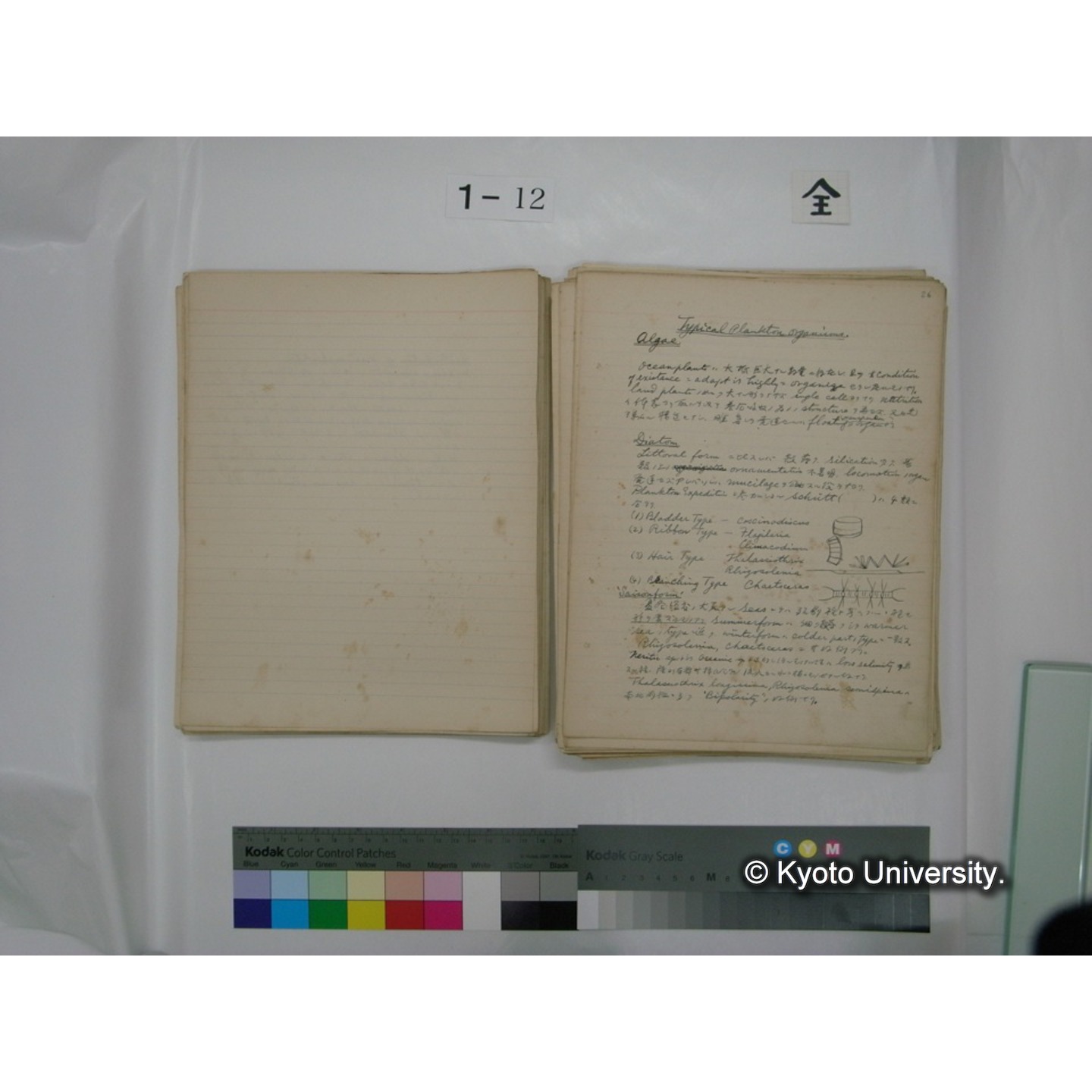 (水生生物) [直筆原稿] / (川村多實二) (45)