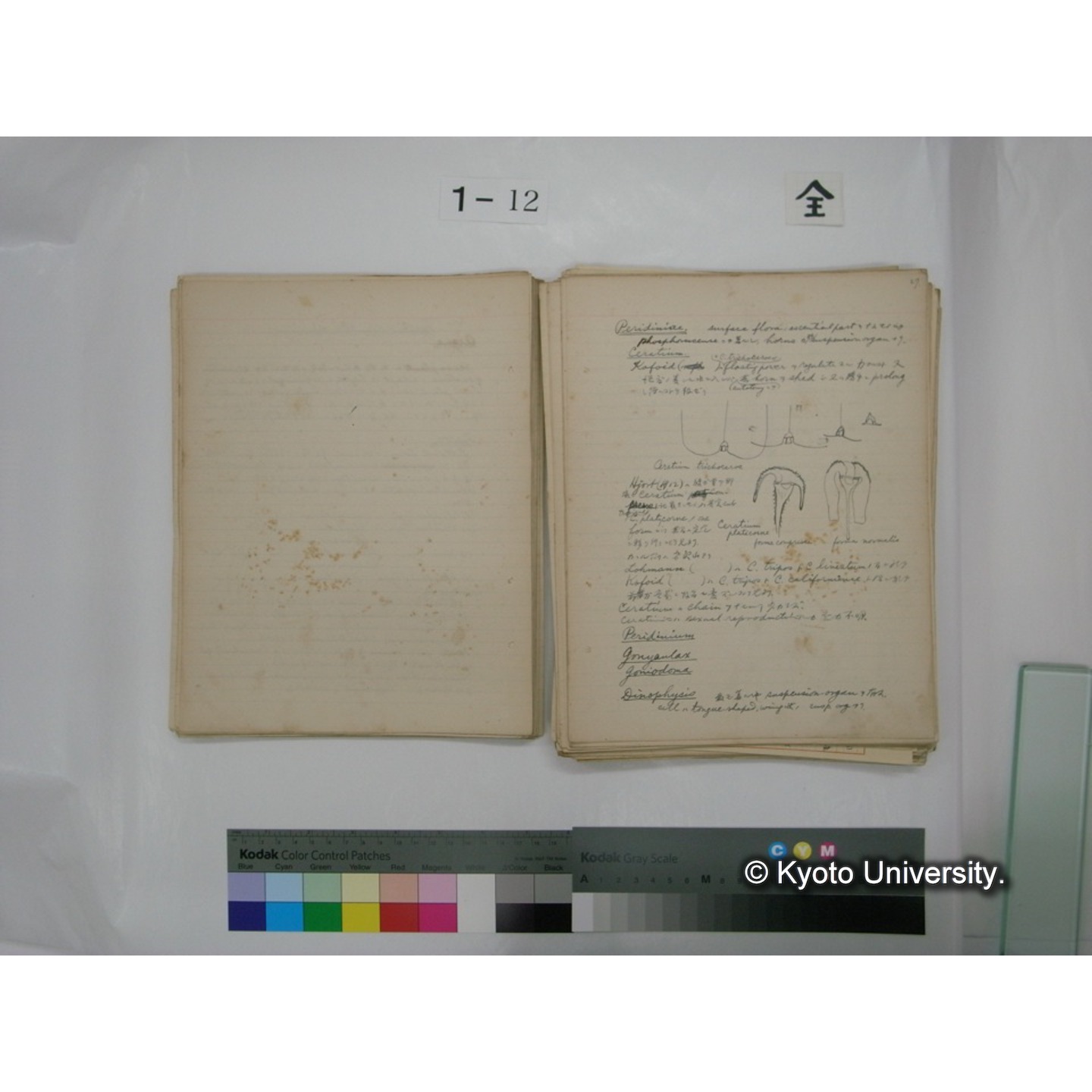 (水生生物) [直筆原稿] / (川村多實二) (46)