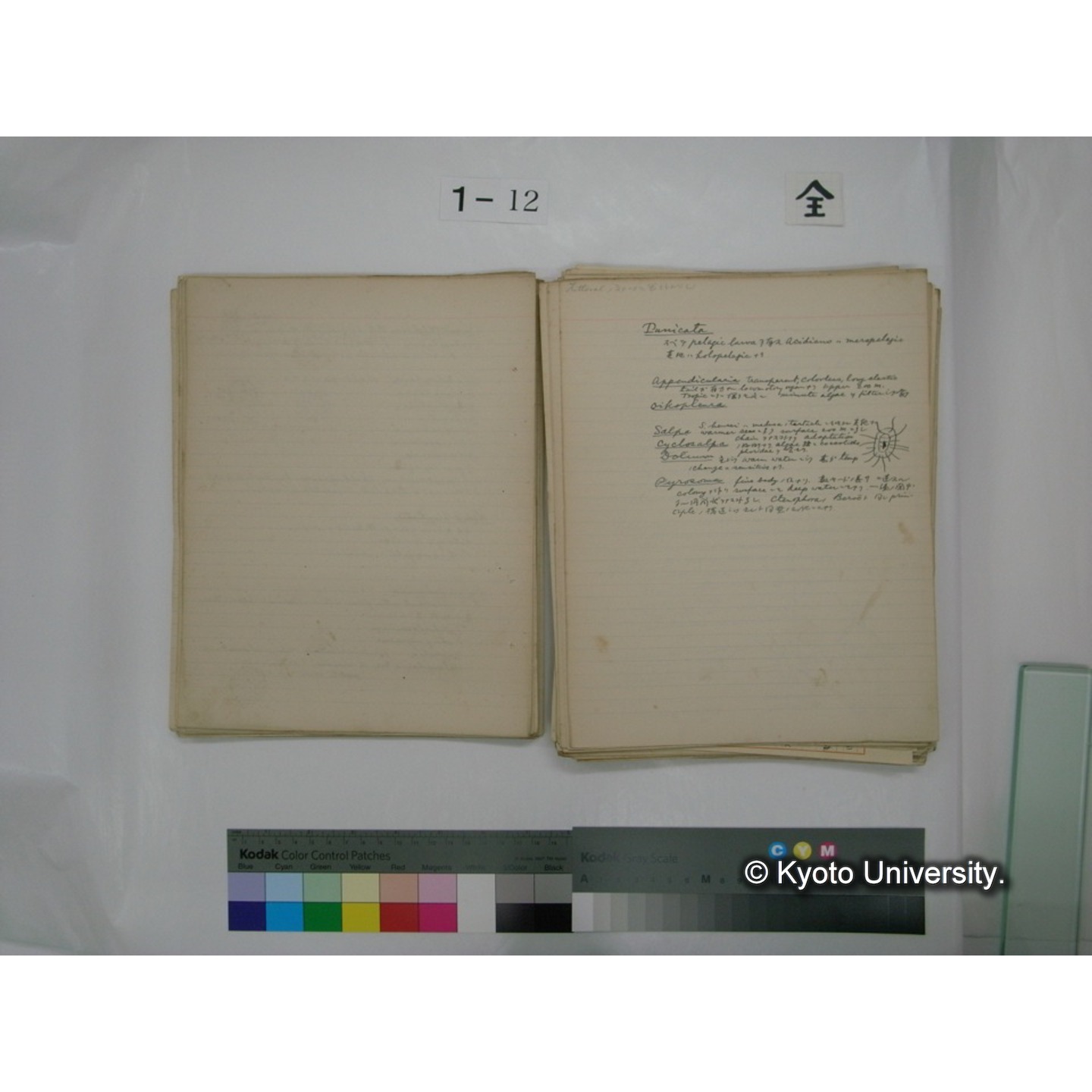 (水生生物) [直筆原稿] / (川村多實二) (49)