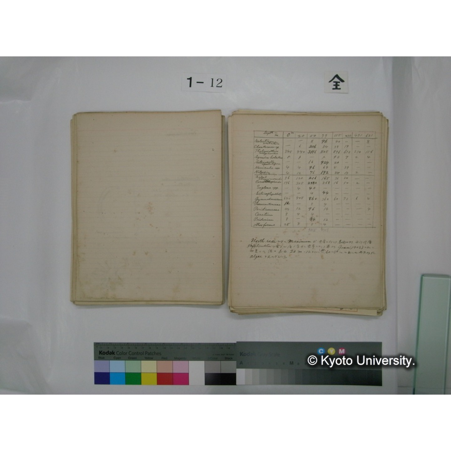 (水生生物) [直筆原稿] / (川村多實二) (61)