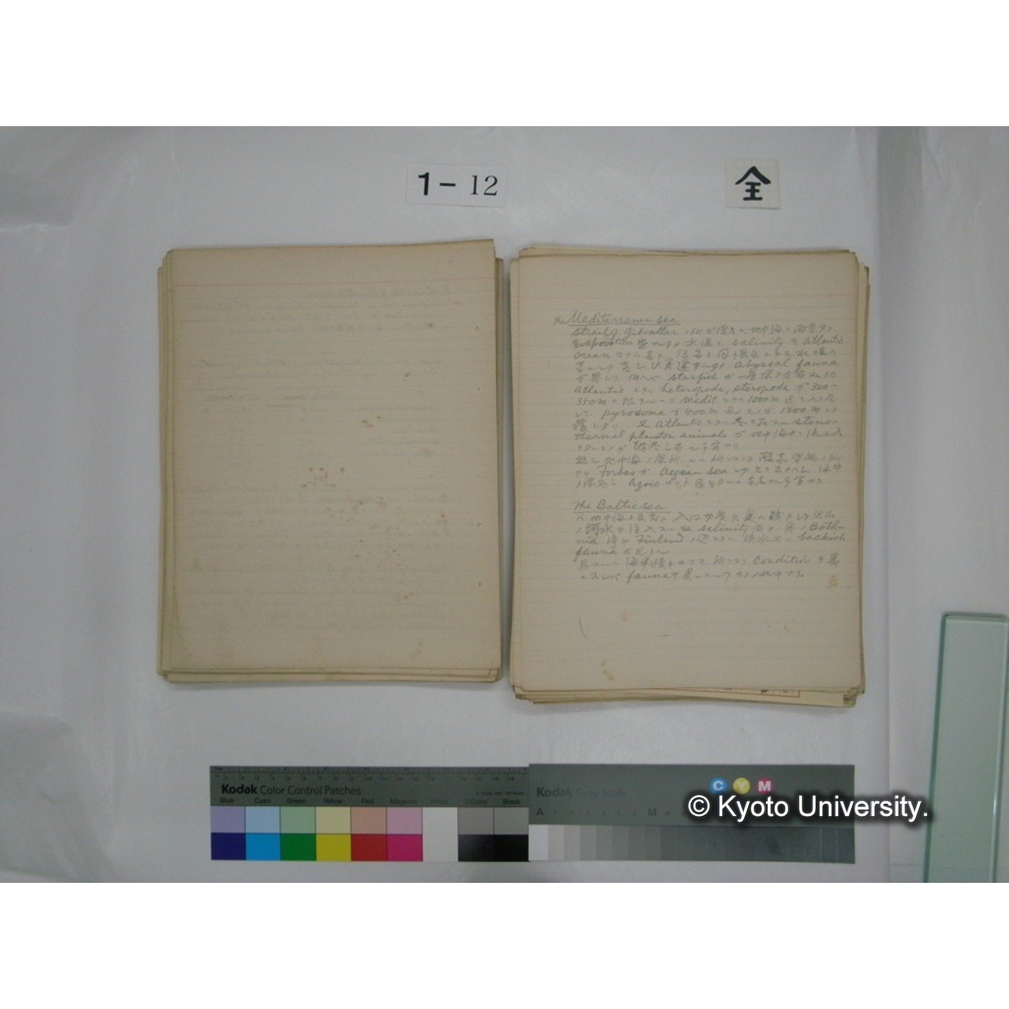 (水生生物) [直筆原稿] / (川村多實二) (63)