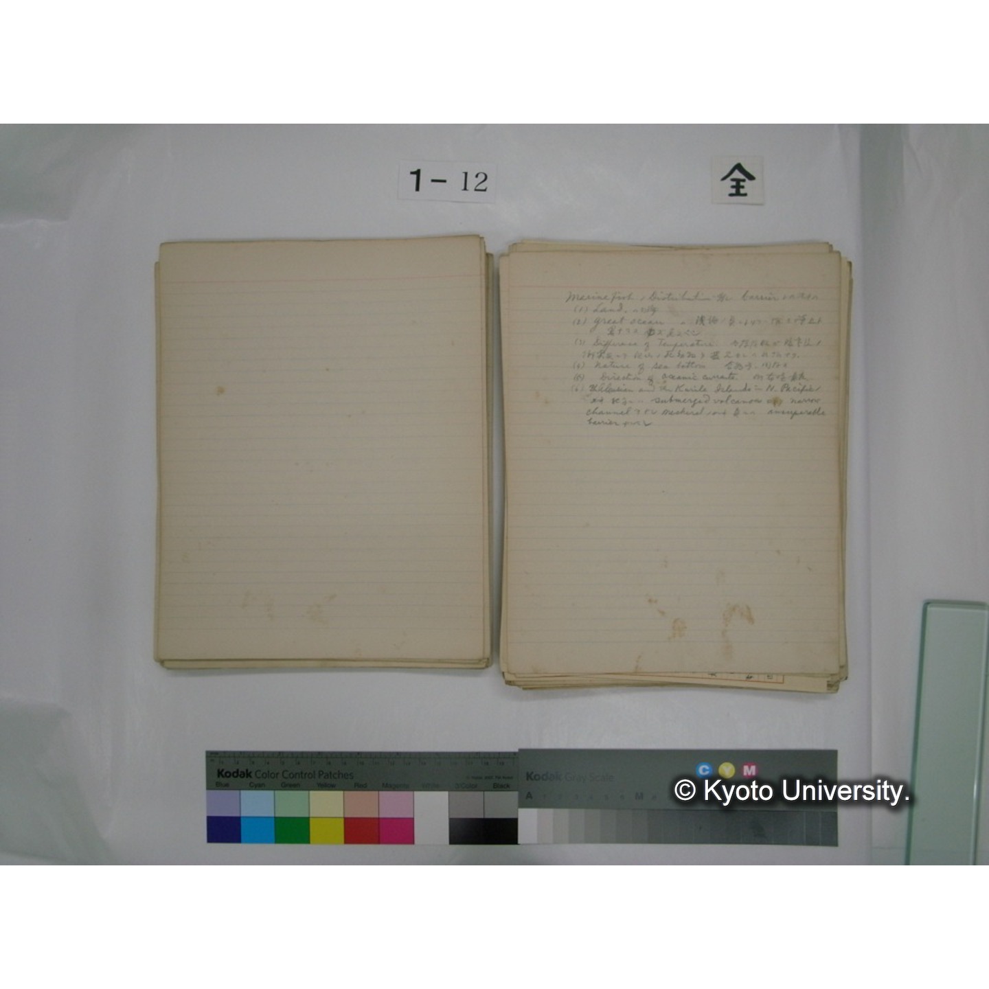 (水生生物) [直筆原稿] / (川村多實二) (64)