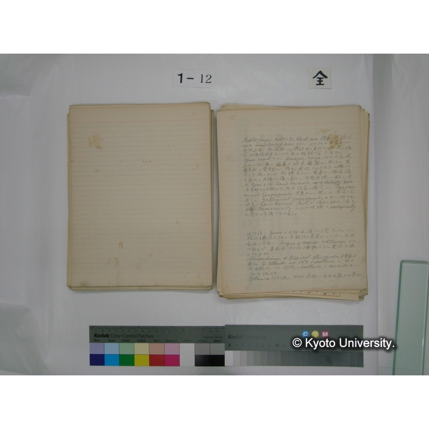 (水生生物) [直筆原稿] / (川村多實二) (65)