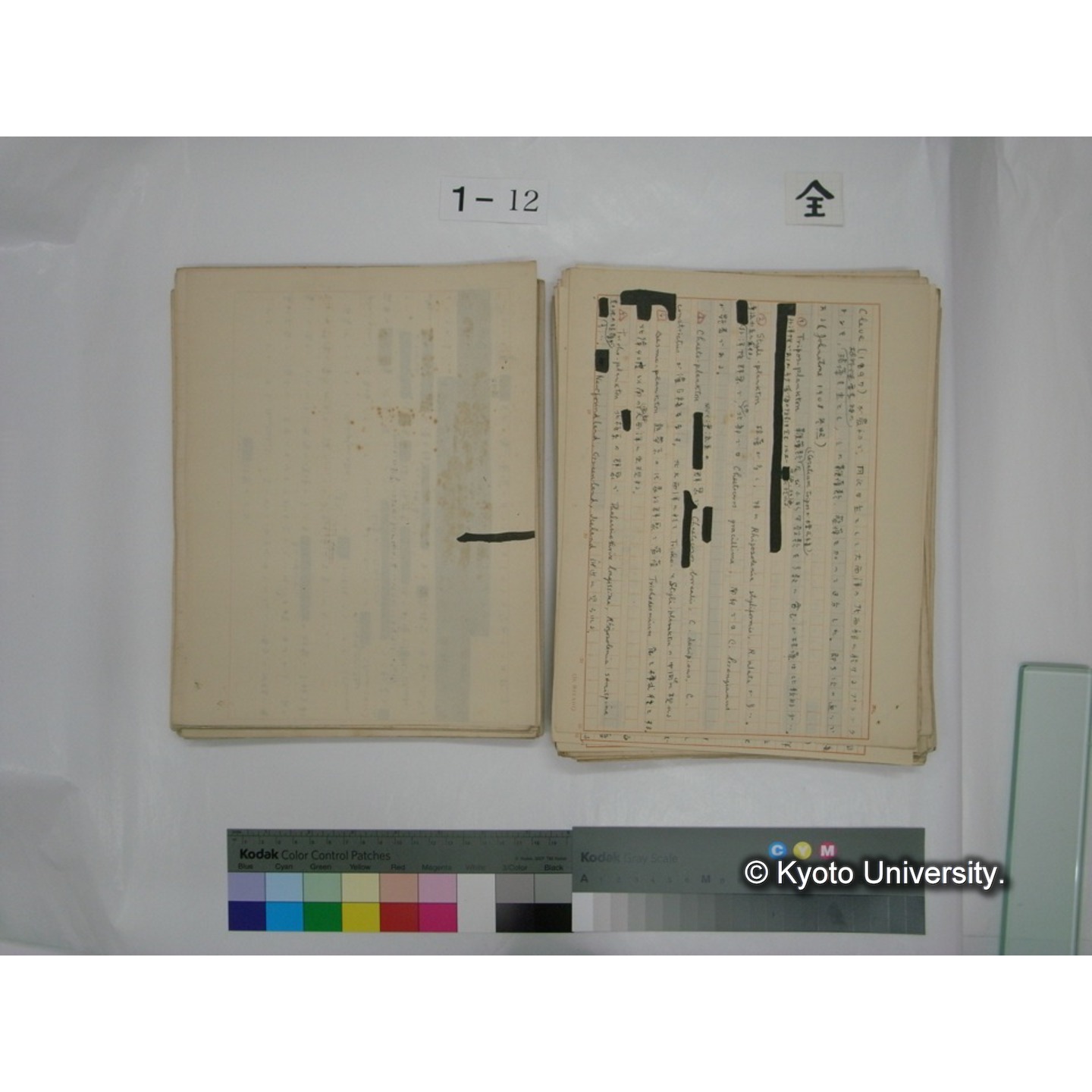 (水生生物) [直筆原稿] / (川村多實二) (67)