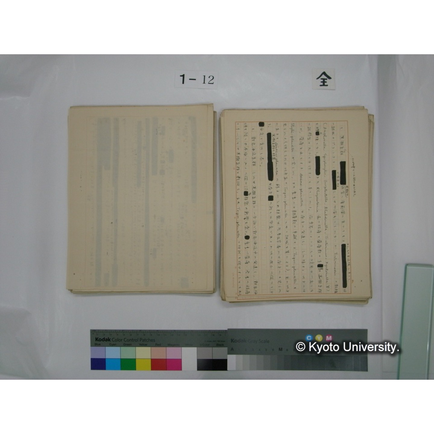 (水生生物) [直筆原稿] / (川村多實二) (69)