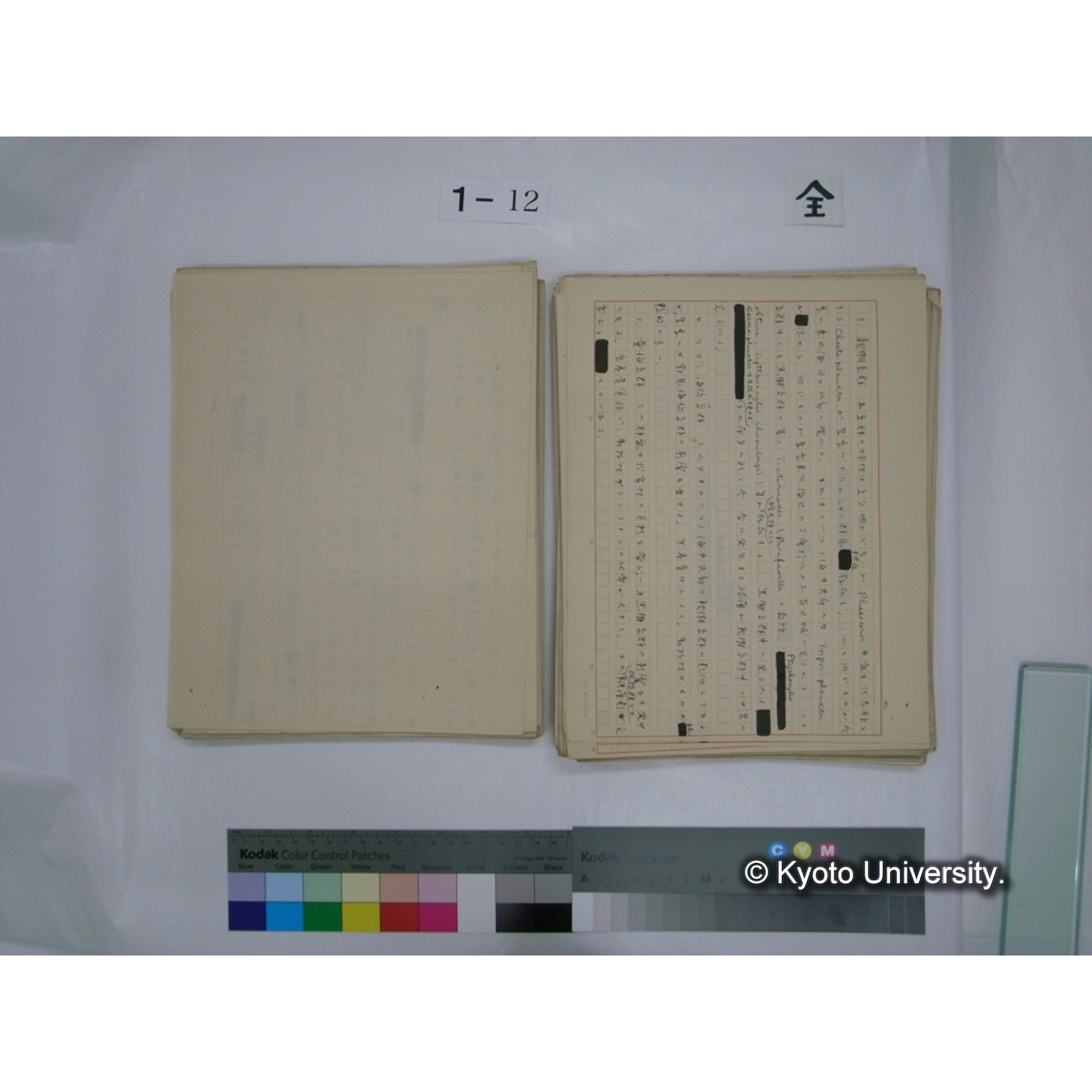 (水生生物) [直筆原稿] / (川村多實二) (70)