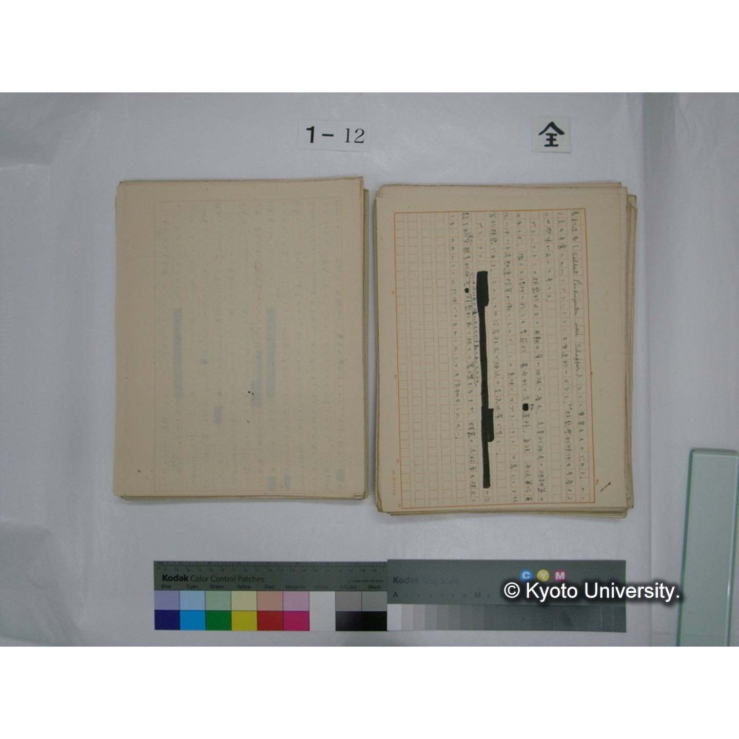 (水生生物) [直筆原稿] / (川村多實二) (72)