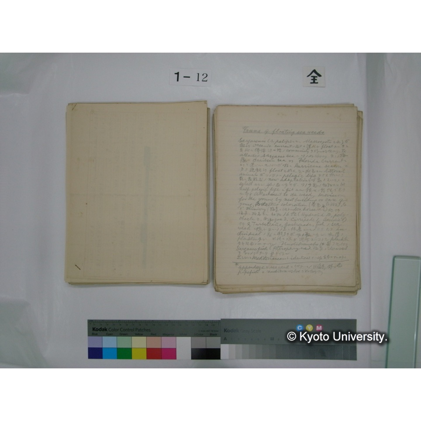 (水生生物) [直筆原稿] / (川村多實二) (73)