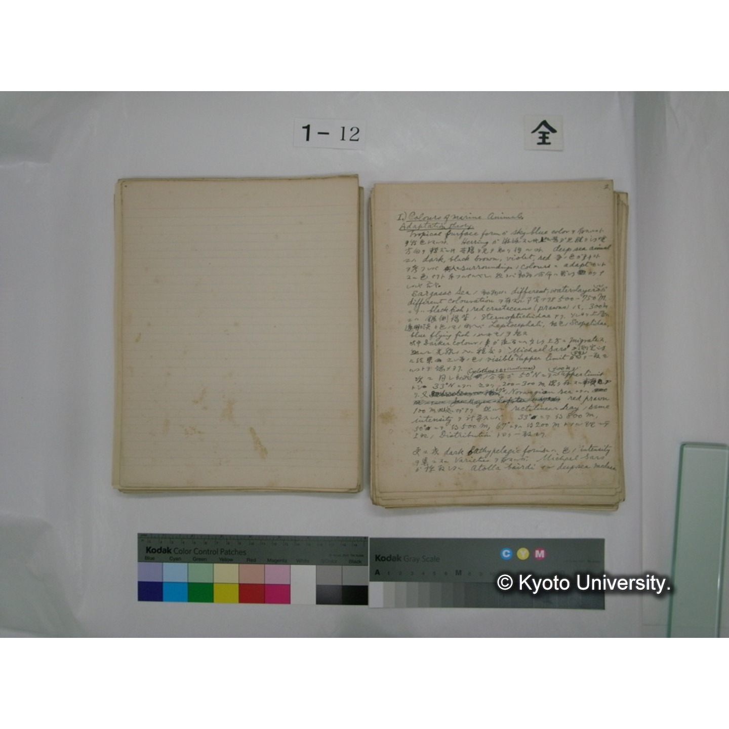 (水生生物) [直筆原稿] / (川村多實二) (74)