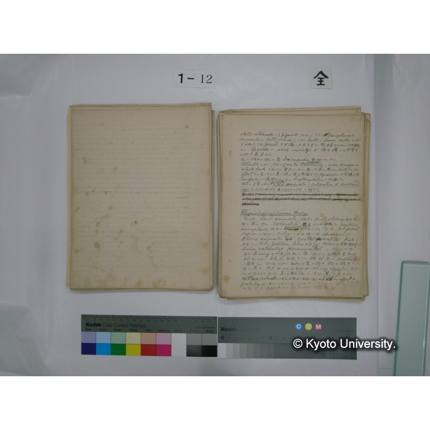 (水生生物) [直筆原稿] / (川村多實二) (75)