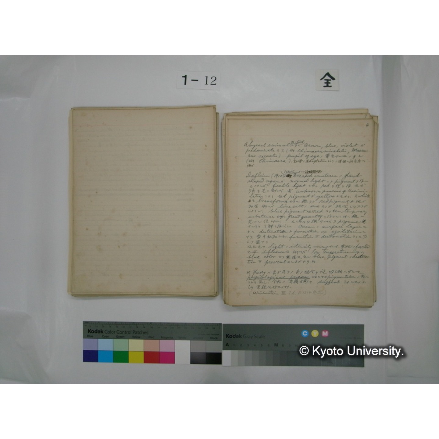 (水生生物) [直筆原稿] / (川村多實二) (76)