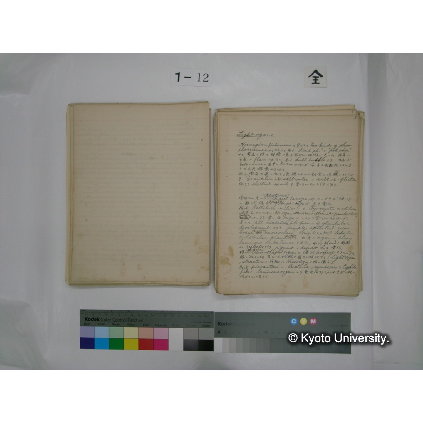 (水生生物) [直筆原稿] / (川村多實二) (77)