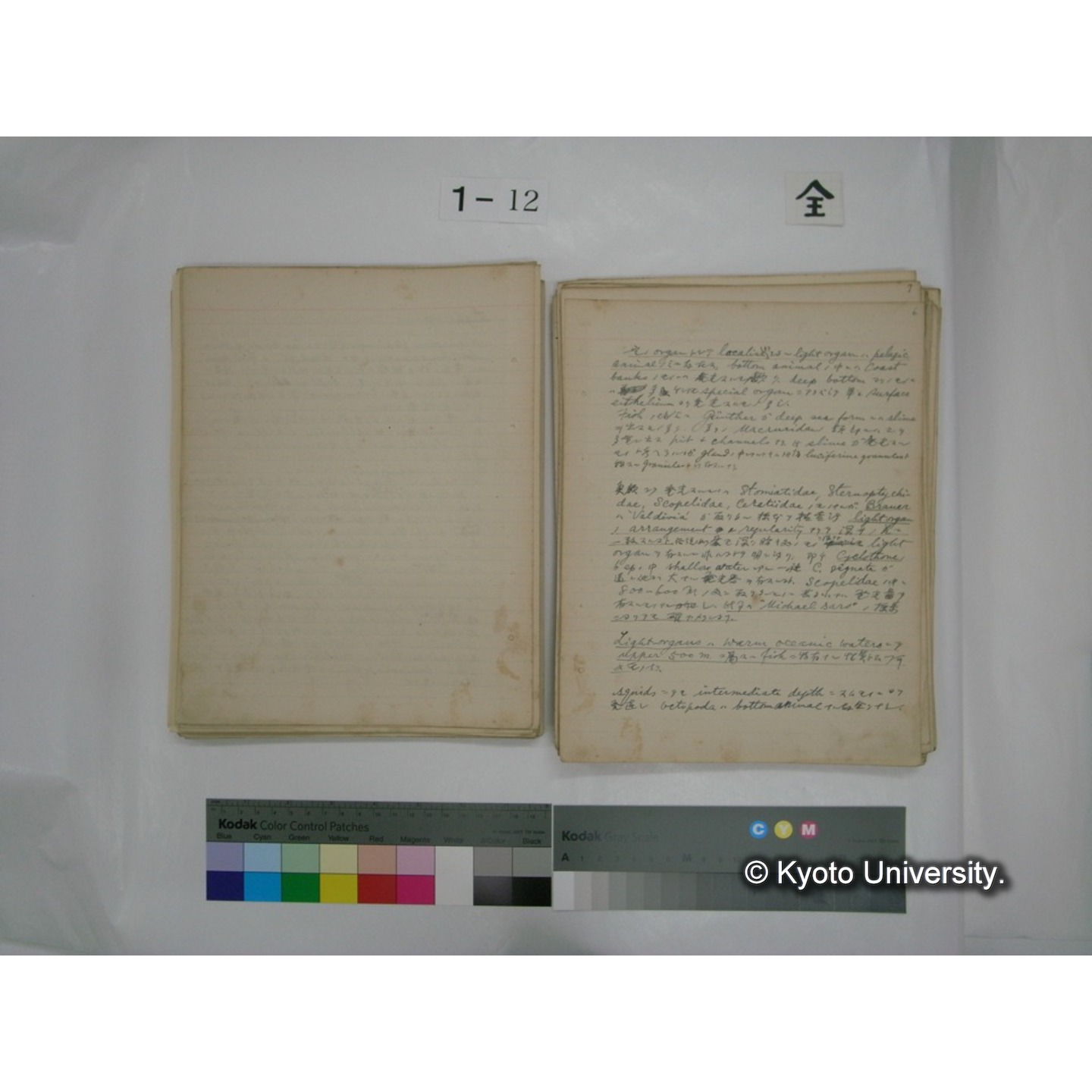 (水生生物) [直筆原稿] / (川村多實二) (78)