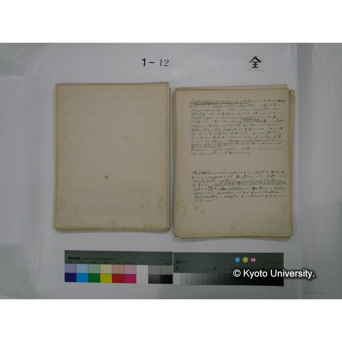 (水生生物) [直筆原稿] / (川村多實二) (79)