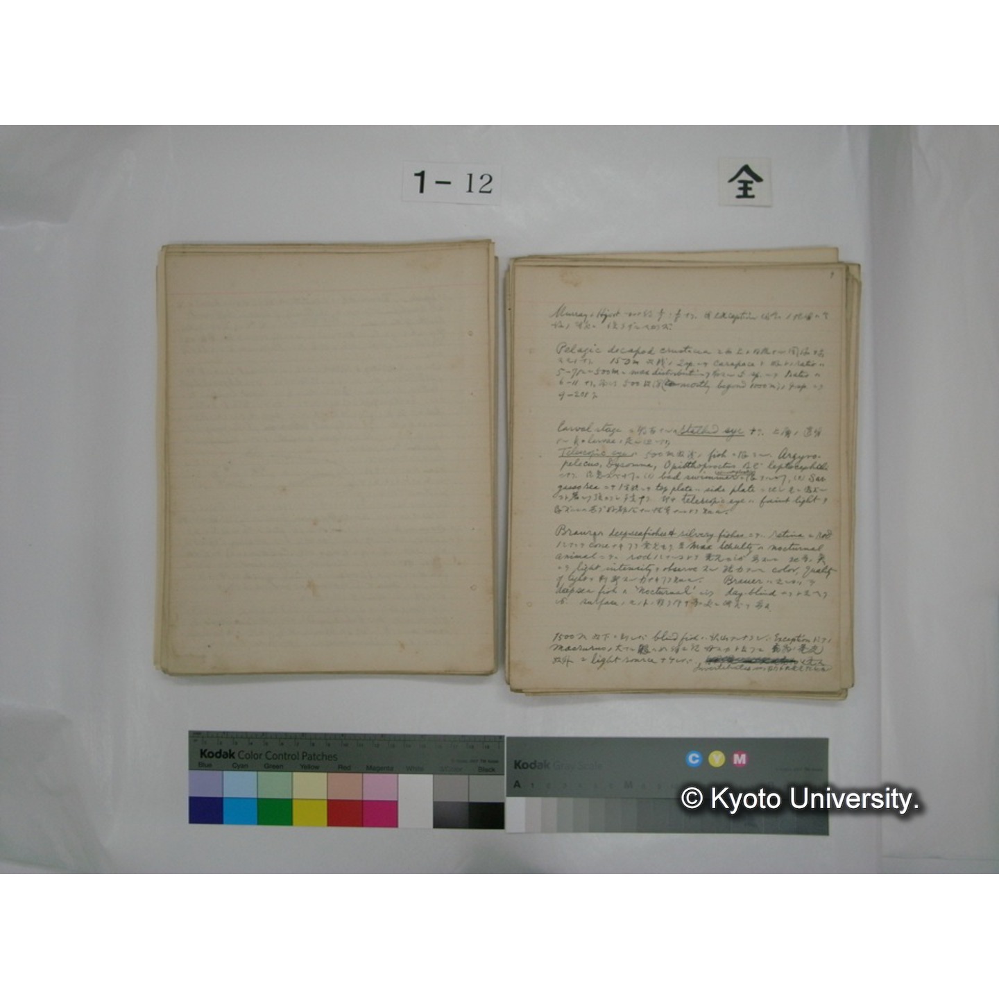 (水生生物) [直筆原稿] / (川村多實二) (81)