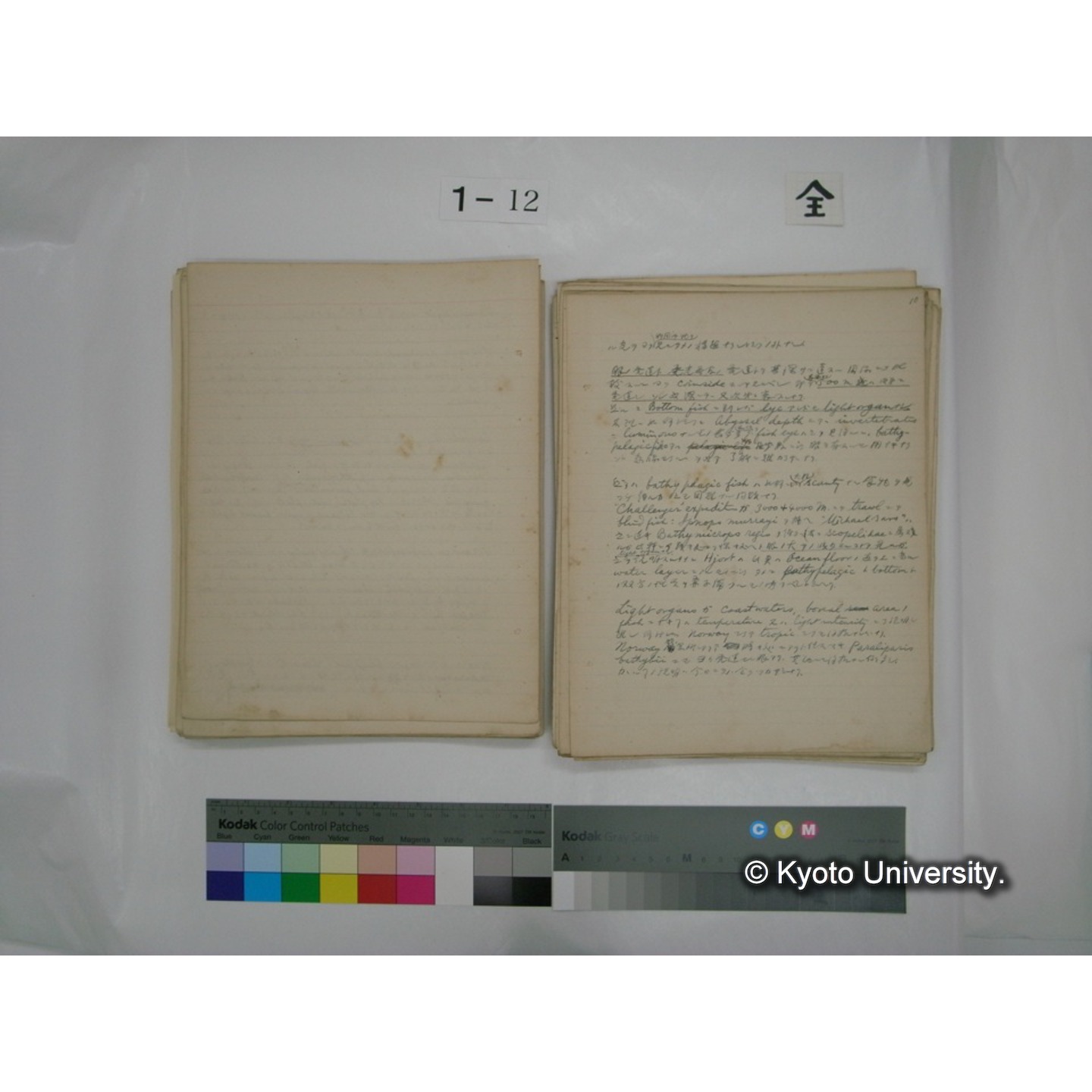 (水生生物) [直筆原稿] / (川村多實二) (82)