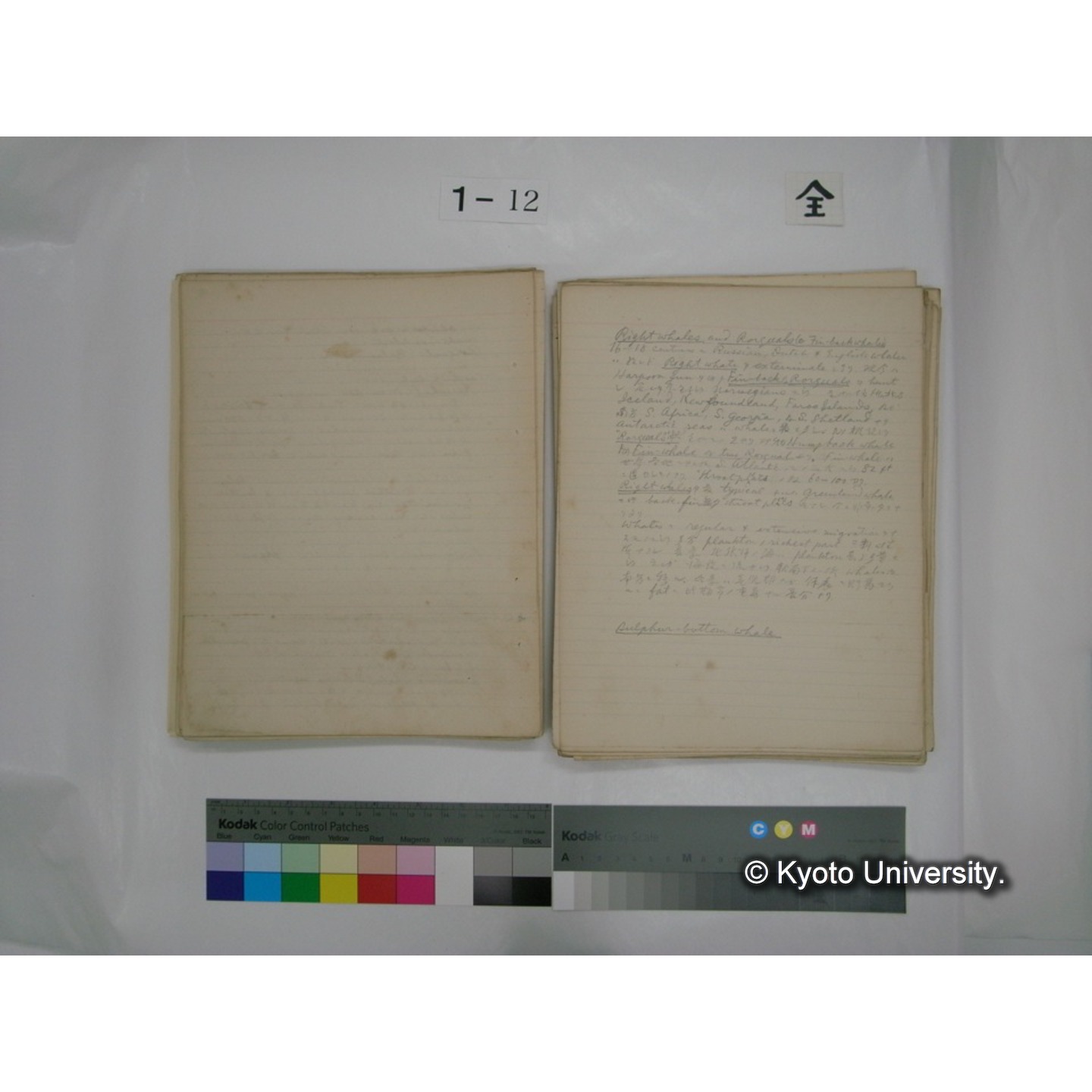 (水生生物) [直筆原稿] / (川村多實二) (85)