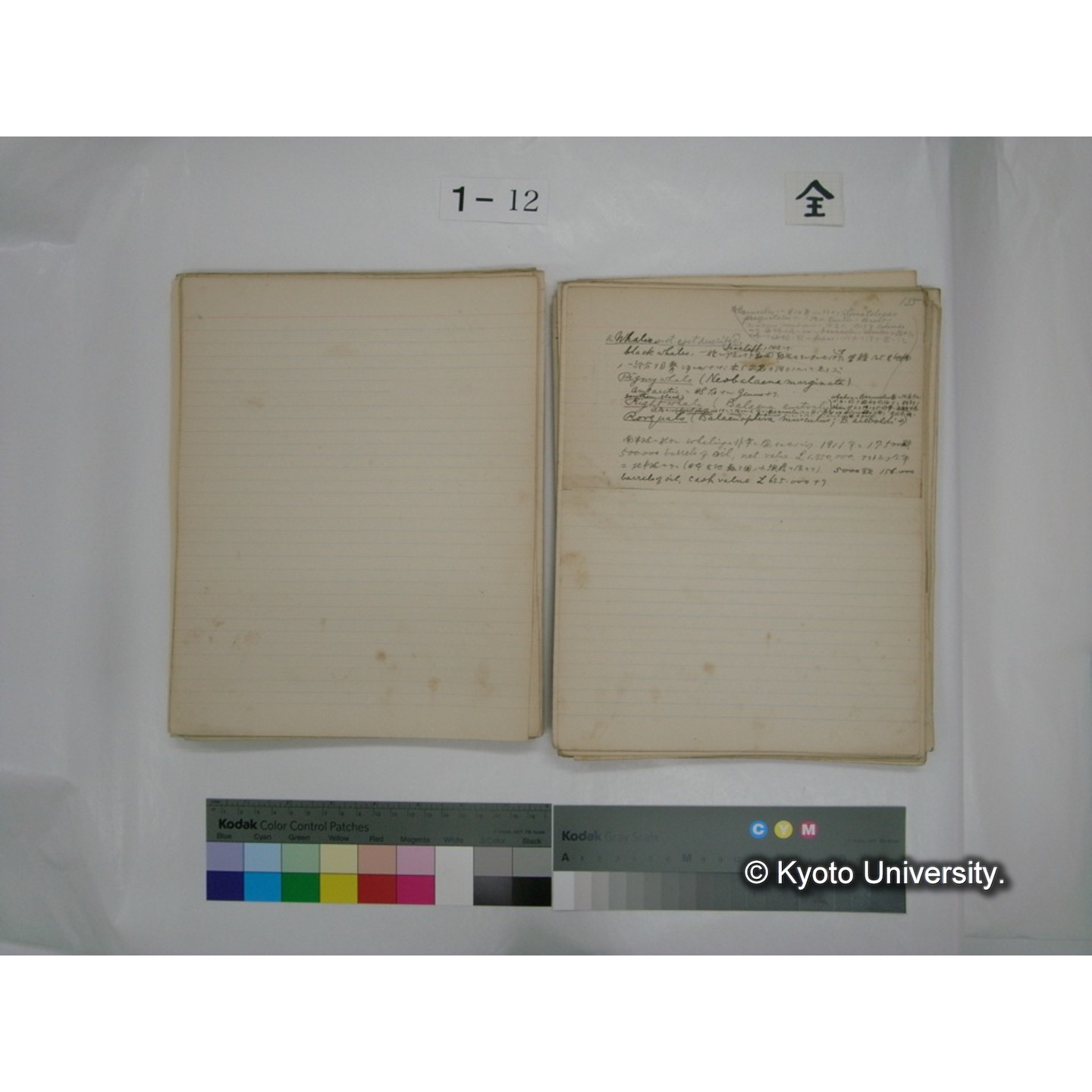 (水生生物) [直筆原稿] / (川村多實二) (86)