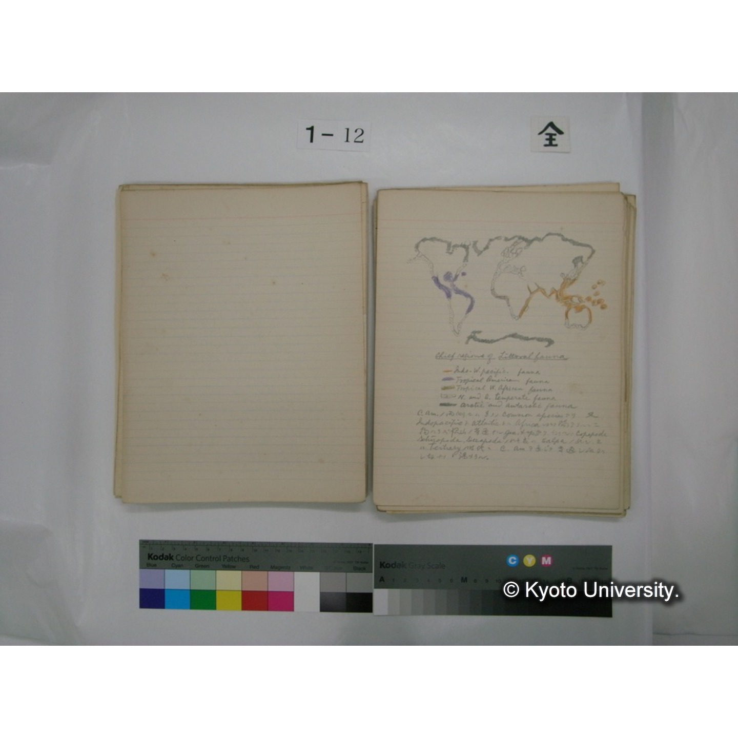 (水生生物) [直筆原稿] / (川村多實二) (88)