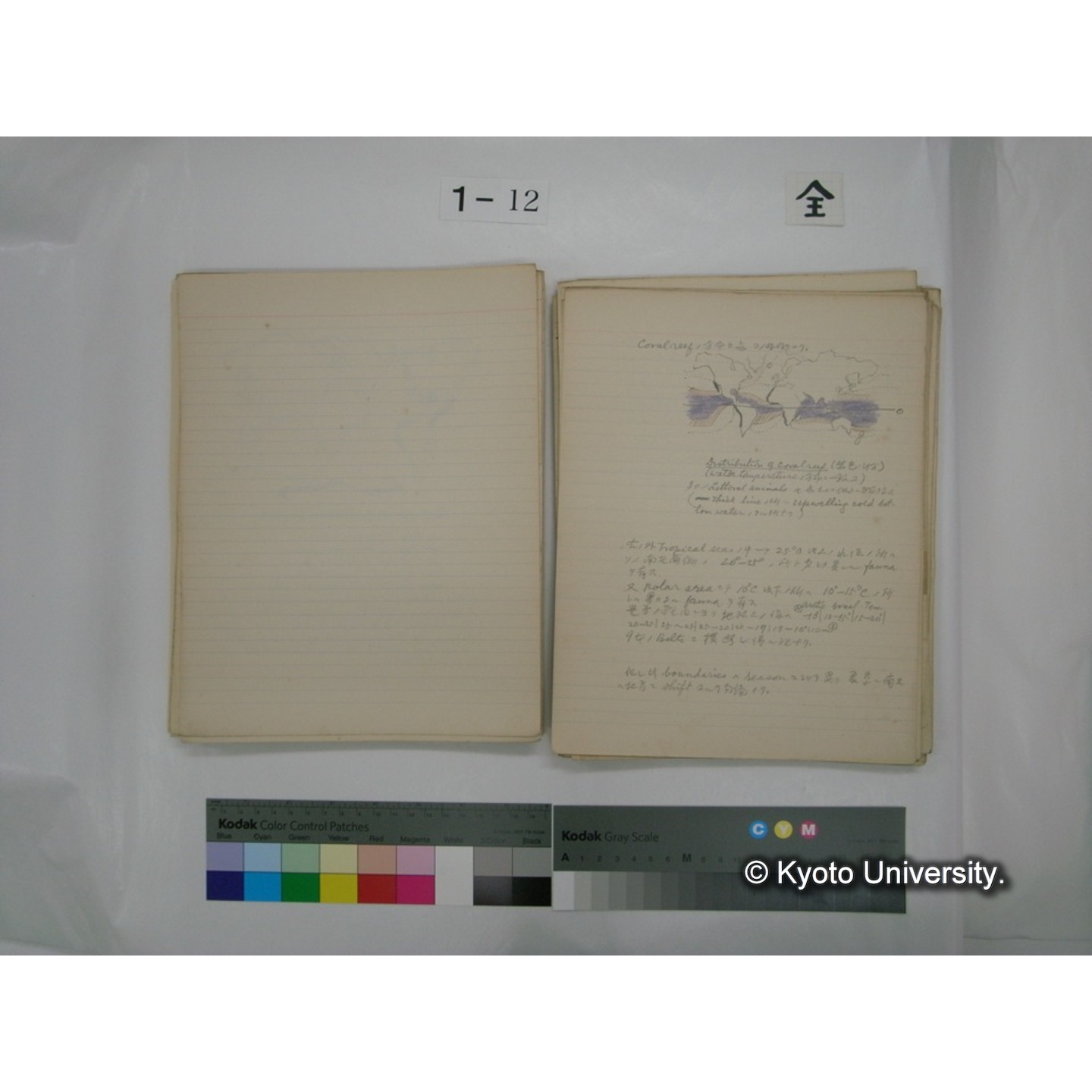 (水生生物) [直筆原稿] / (川村多實二) (89)