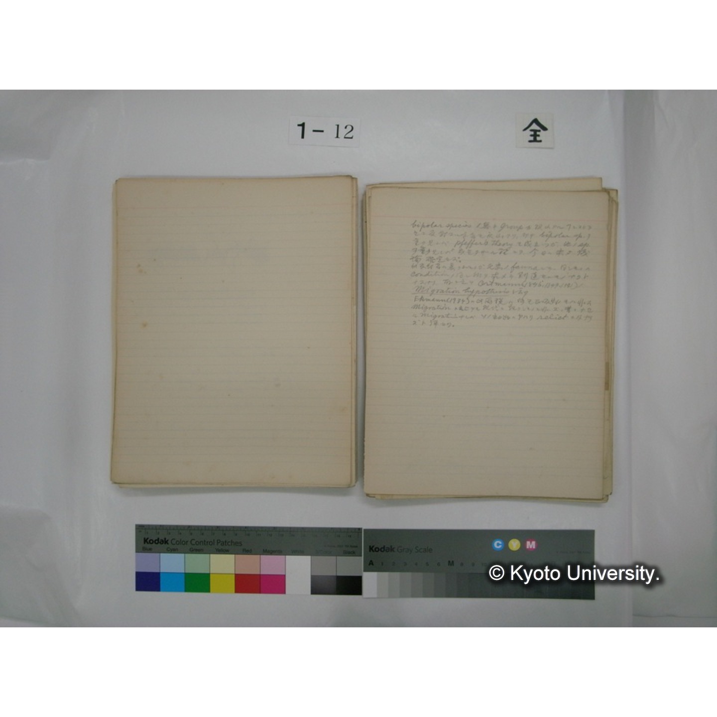 (水生生物) [直筆原稿] / (川村多實二) (90)