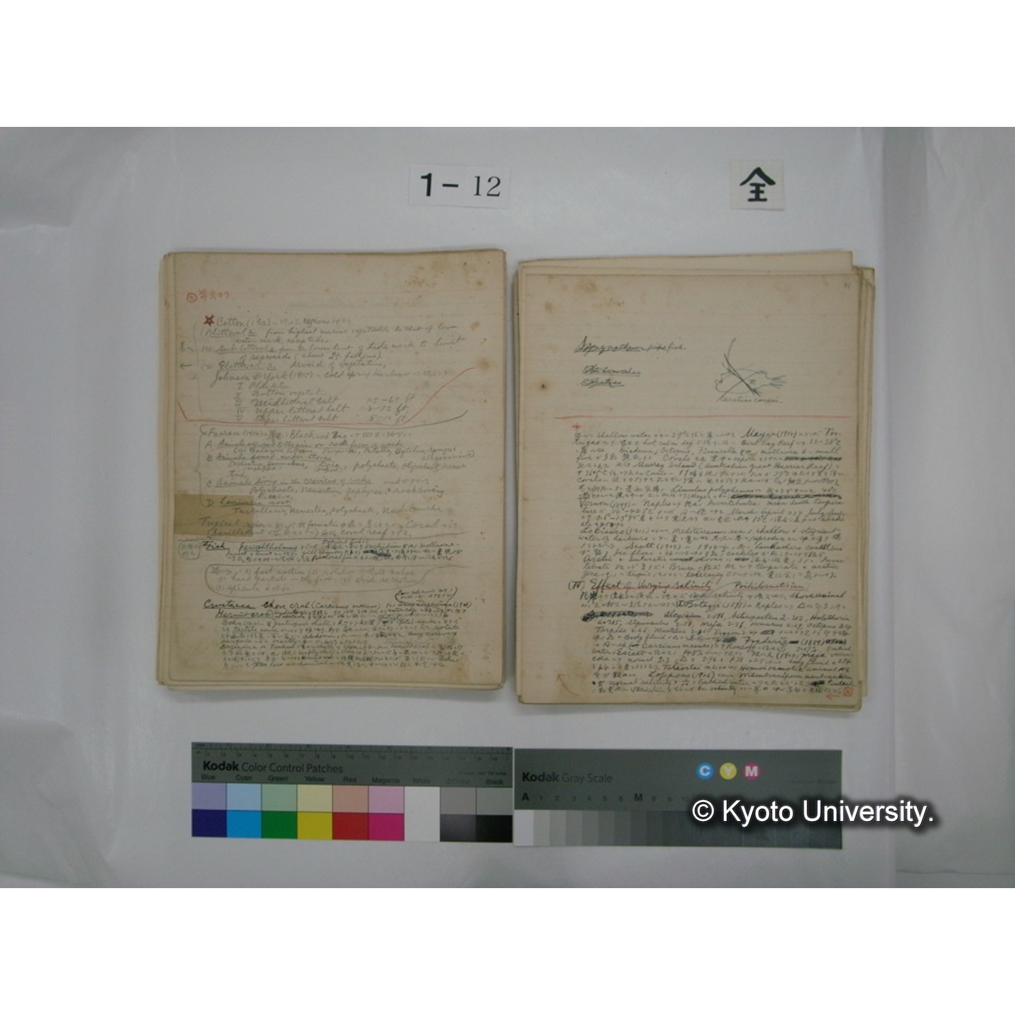 (水生生物) [直筆原稿] / (川村多實二) (92)