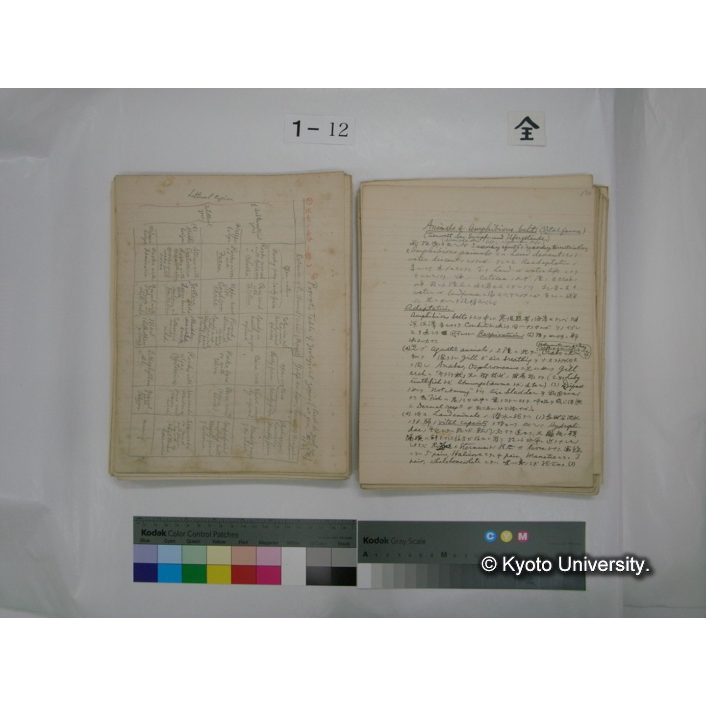 (水生生物) [直筆原稿] / (川村多實二) (93)