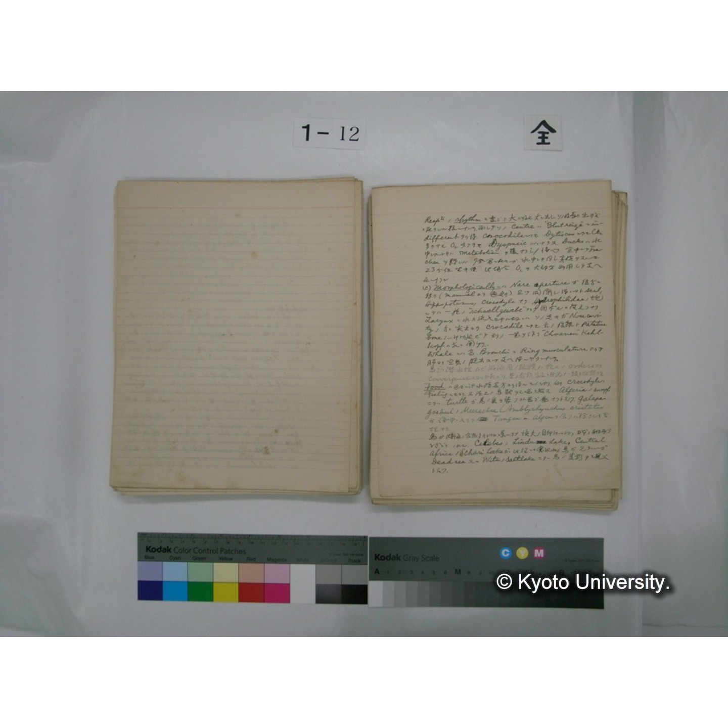 (水生生物) [直筆原稿] / (川村多實二) (94)