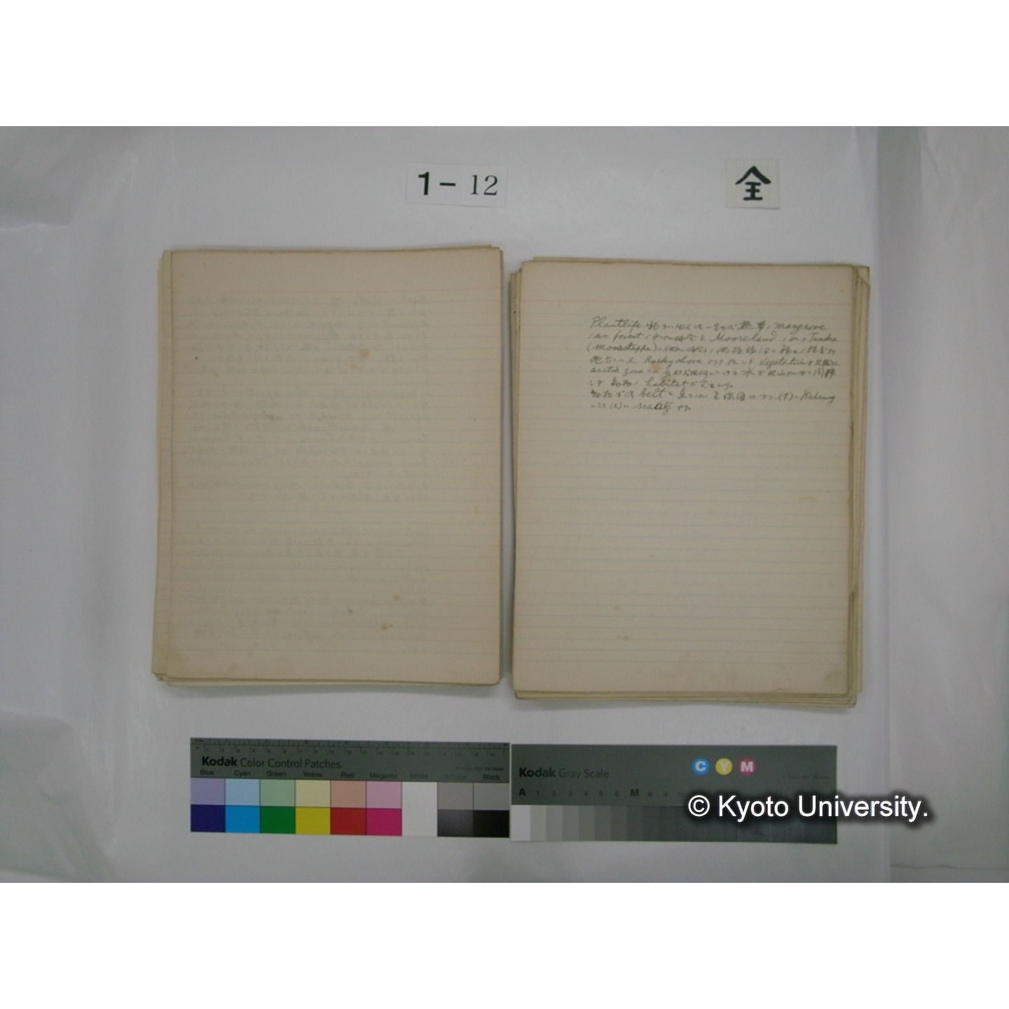 (水生生物) [直筆原稿] / (川村多實二) (95)