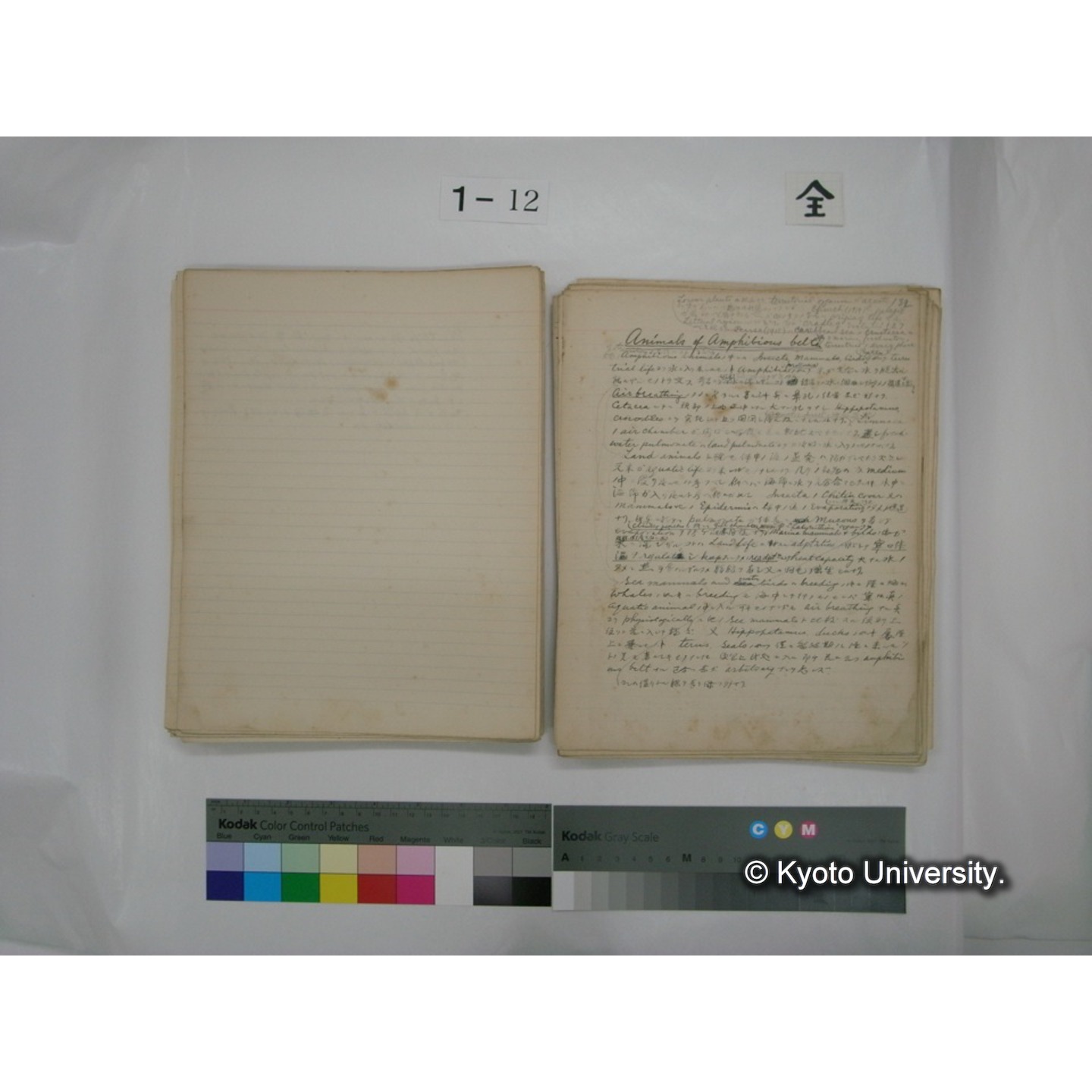 (水生生物) [直筆原稿] / (川村多實二) (96)