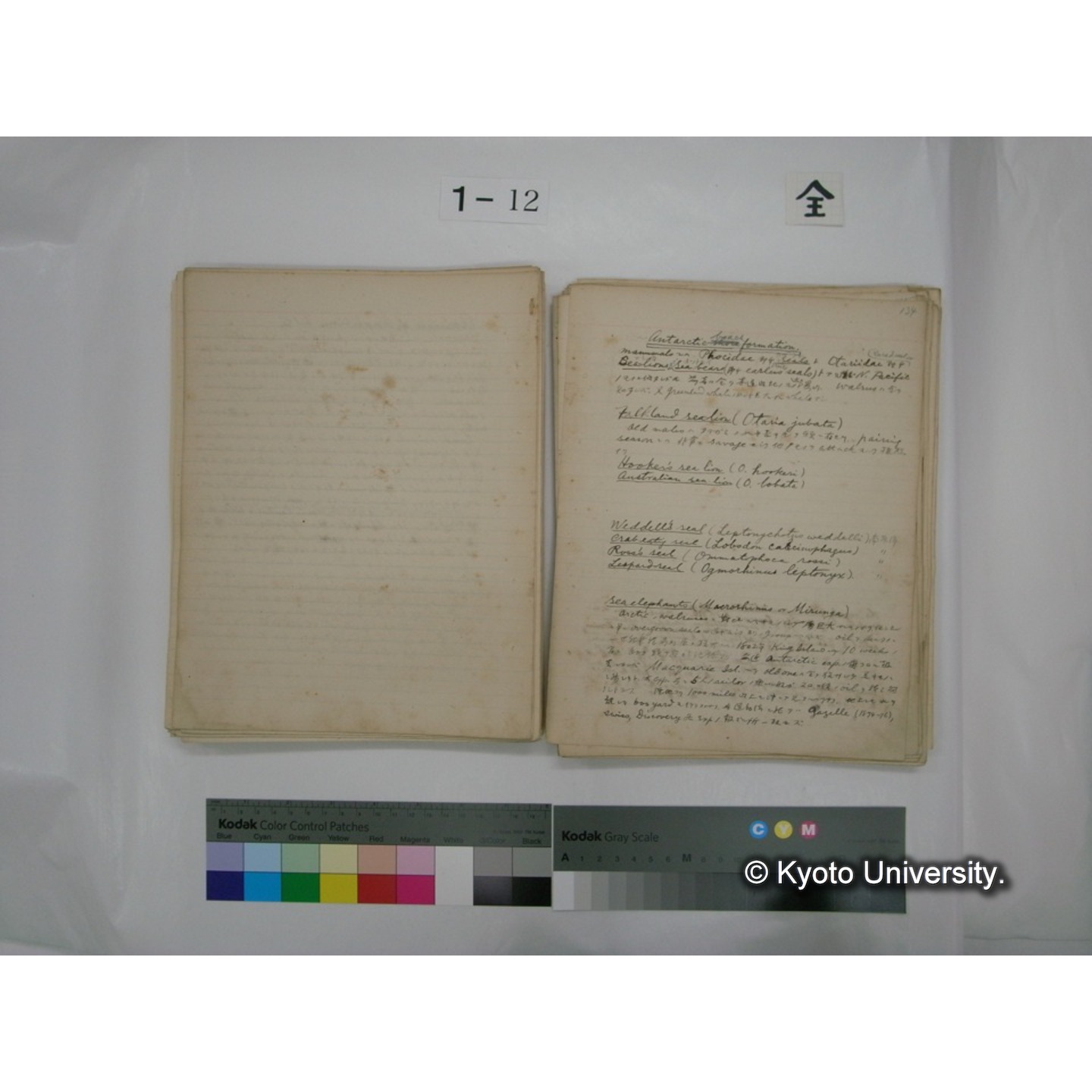 (水生生物) [直筆原稿] / (川村多實二) (97)