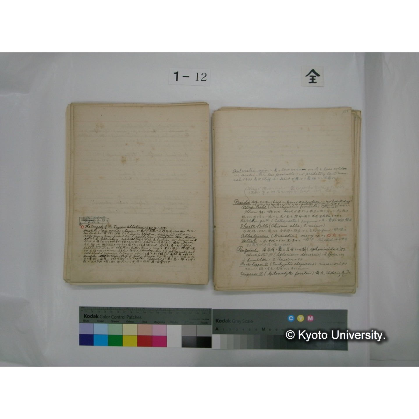 (水生生物) [直筆原稿] / (川村多實二) (98)