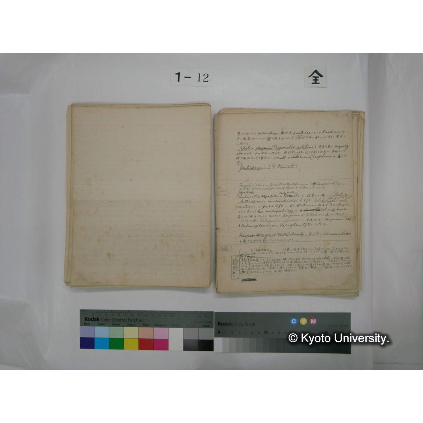 (水生生物) [直筆原稿] / (川村多實二) (99)