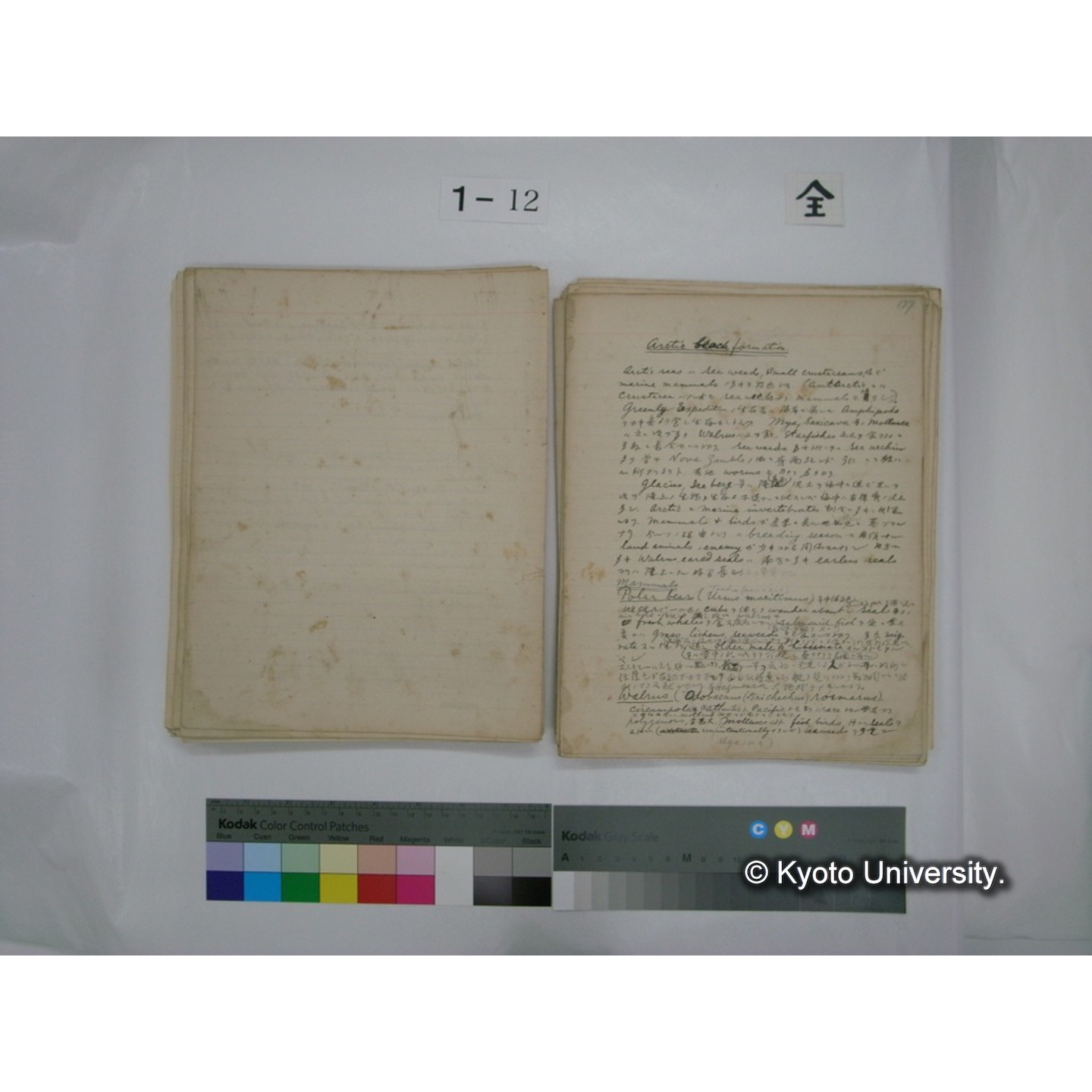 (水生生物) [直筆原稿] / (川村多實二) (100)