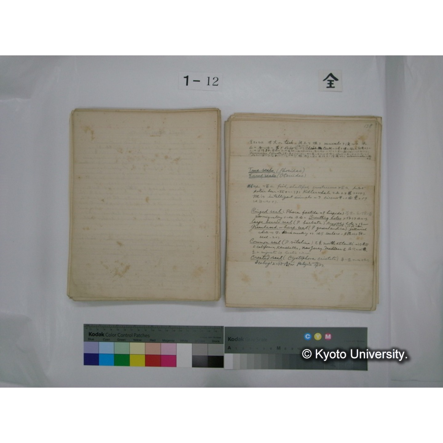 (水生生物) [直筆原稿] / (川村多實二) (101)