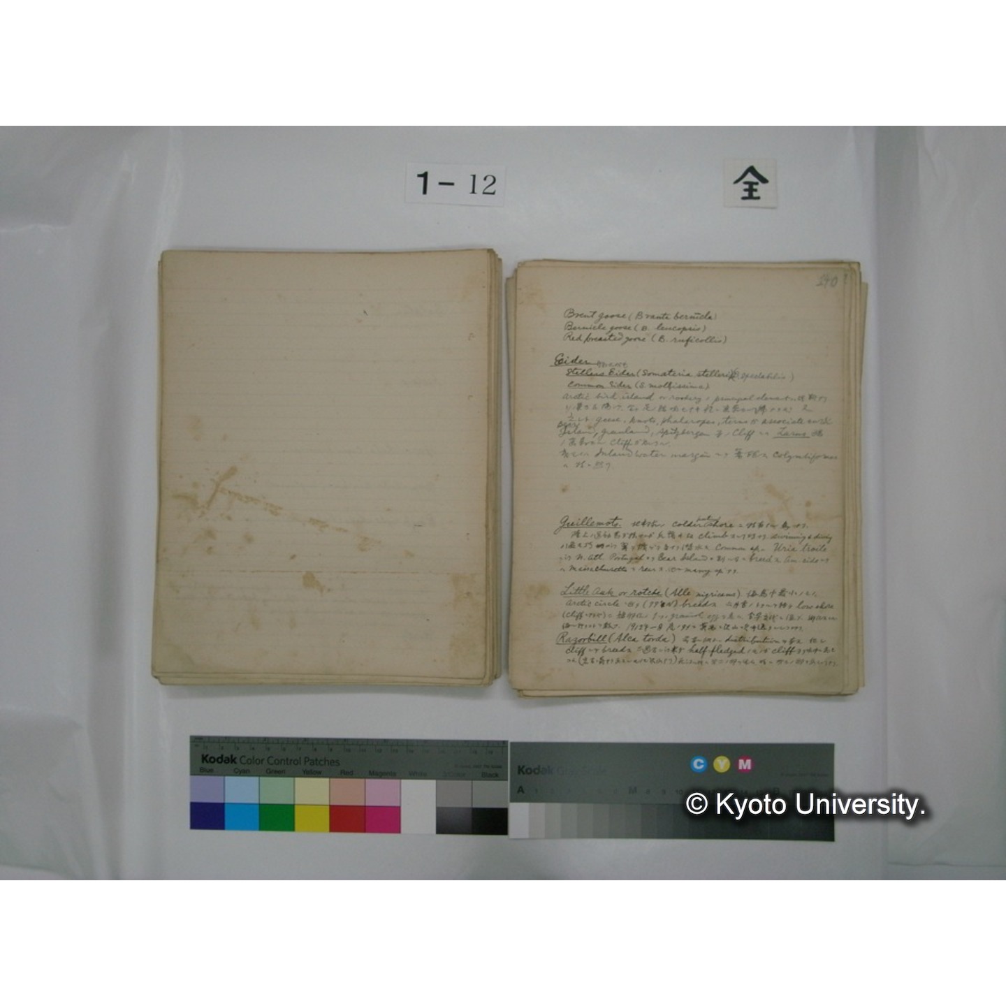 (水生生物) [直筆原稿] / (川村多實二) (103)