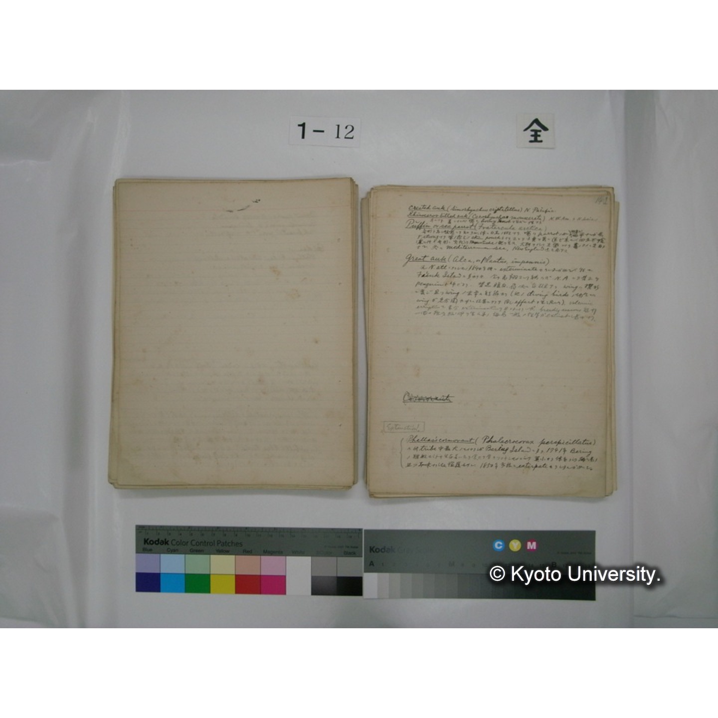 (水生生物) [直筆原稿] / (川村多實二) (104)