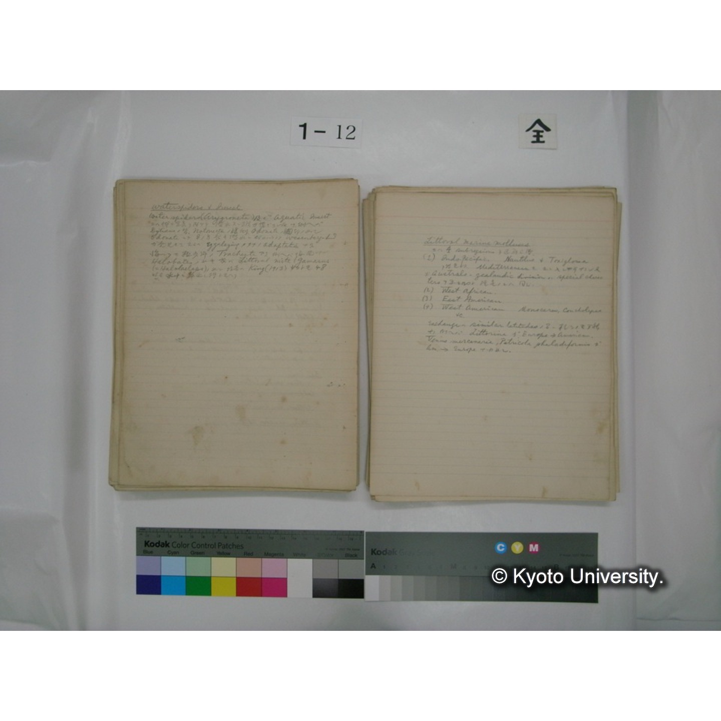 (水生生物) [直筆原稿] / (川村多實二) (106)